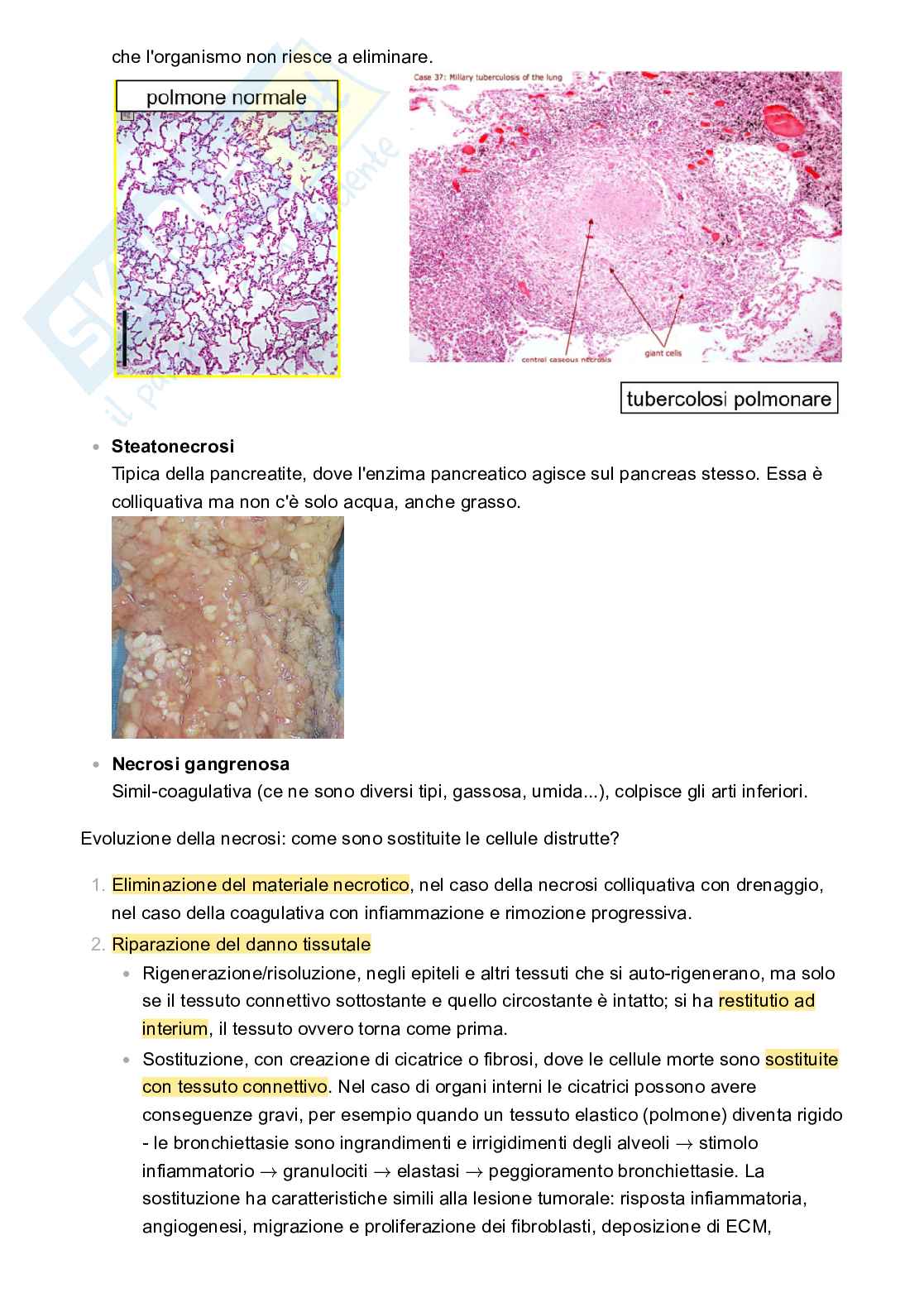 Appunti Patologia e fisiopatologia Pag. 6