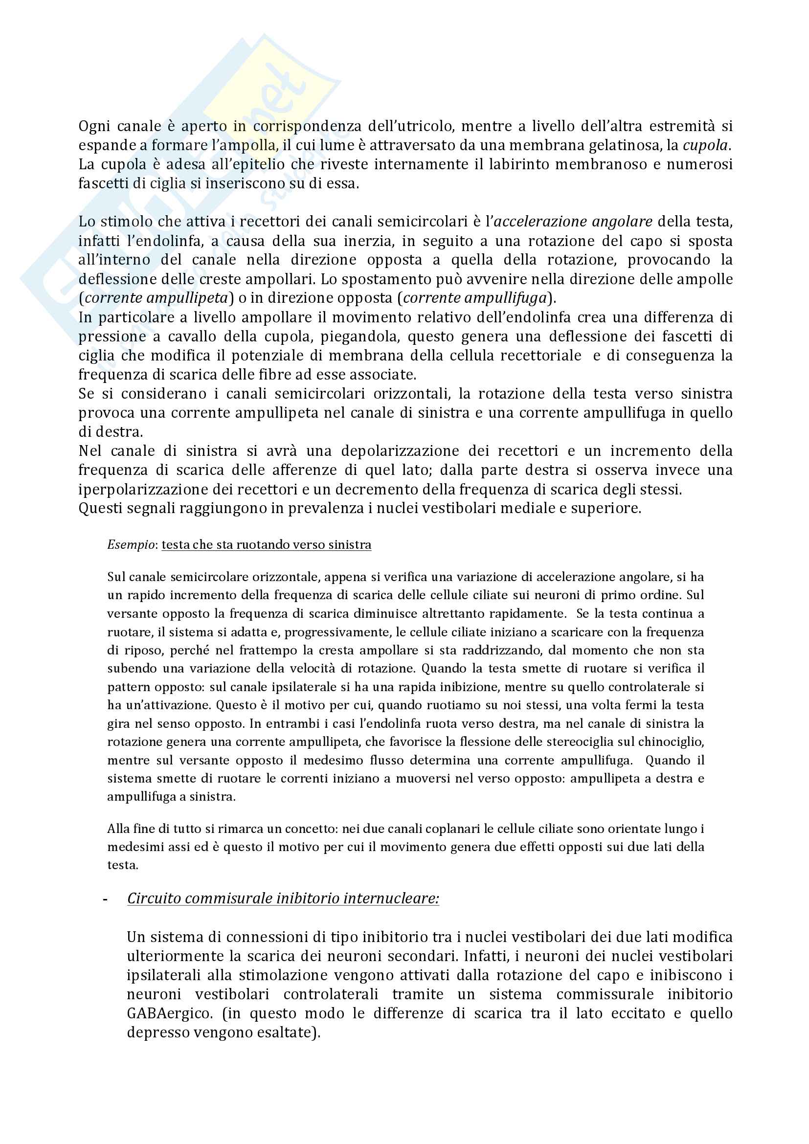 13 Sistema vestibolare Pag. 2