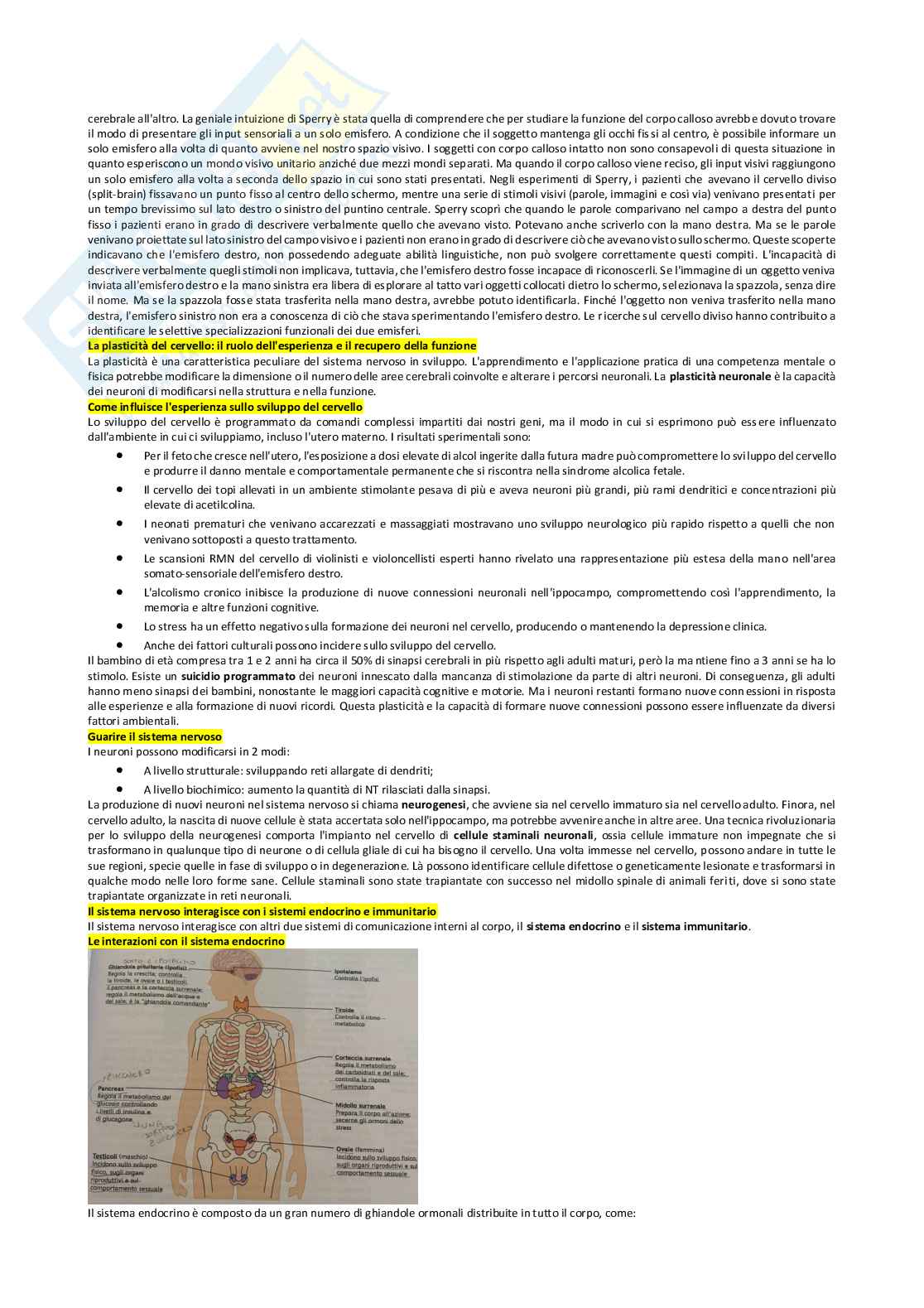 Riassunto esame Psicologia generale , Prof. Pirrone Concetta, libro consigliato Psicologia generale: capire la mente osservando il comportamento , Hilton, Bremner, Vliek, Sutherland, Passer, Smith Pag. 16