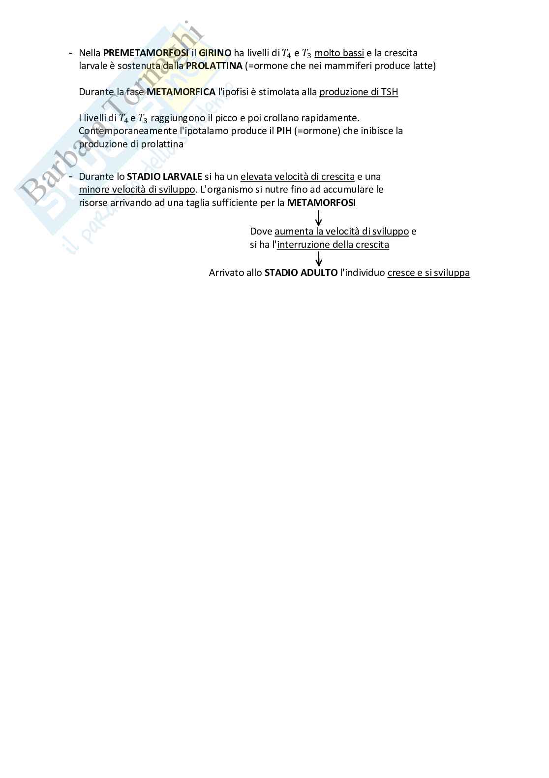 Zoologia generale Pag. 31