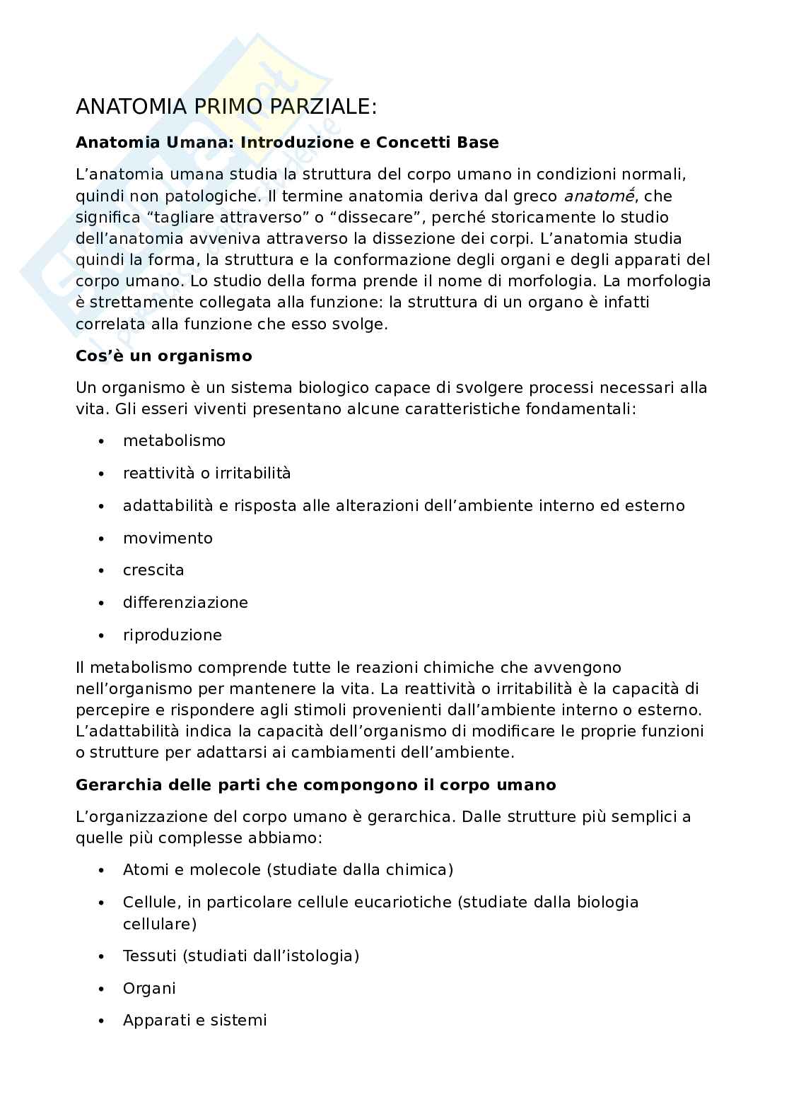 Anatomia umana - Apparato locomotore Pag. 1