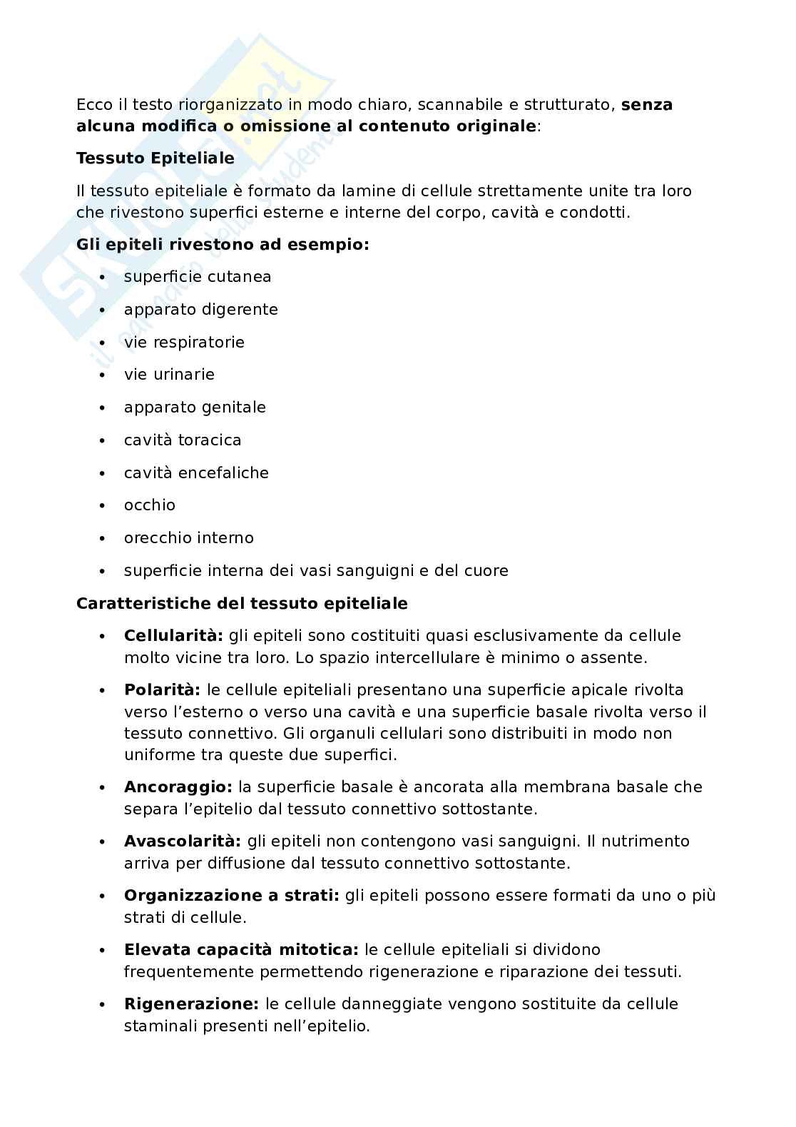 Anatomia umana - Apparato locomotore Pag. 11