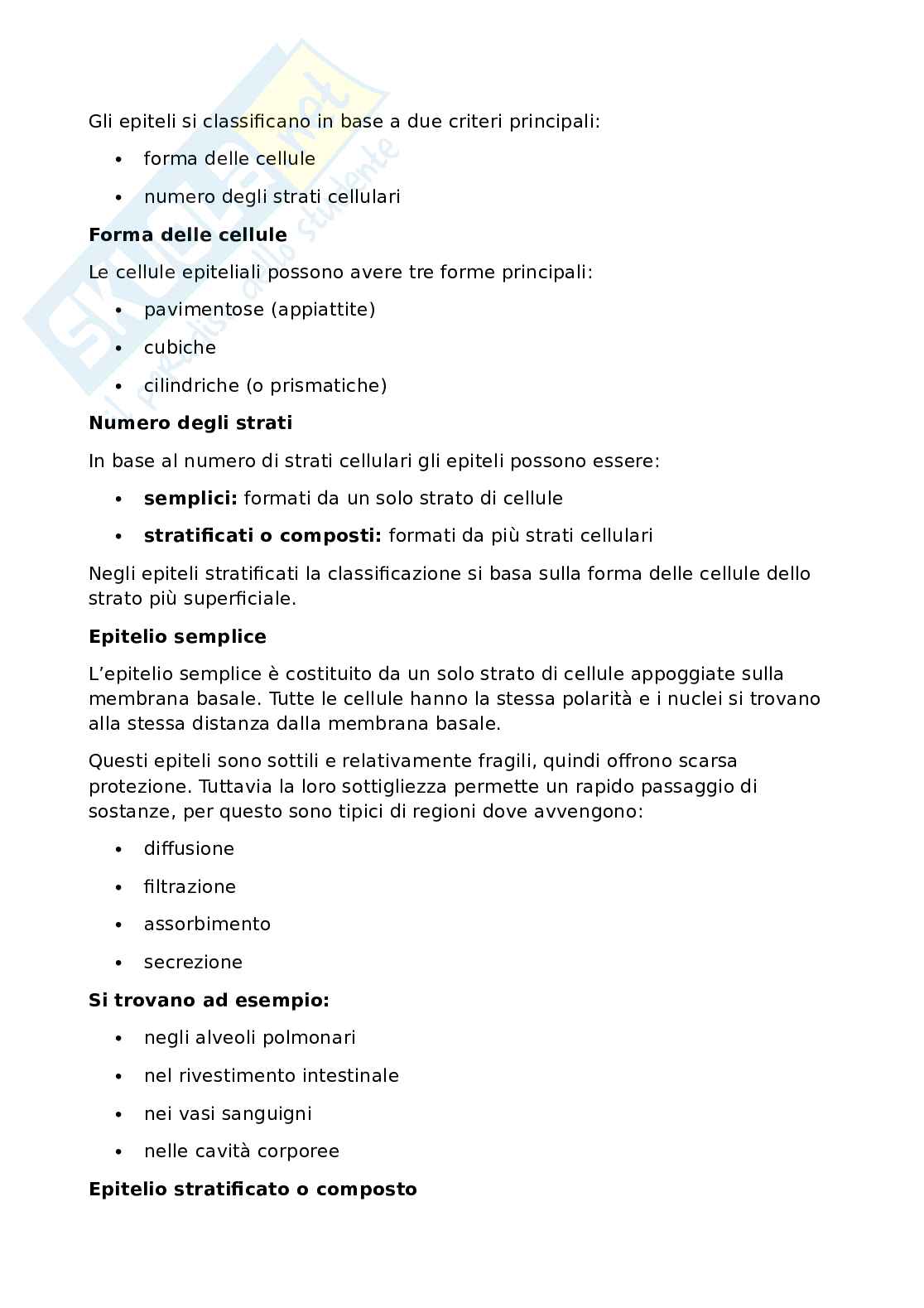 Anatomia umana - Apparato locomotore Pag. 16
