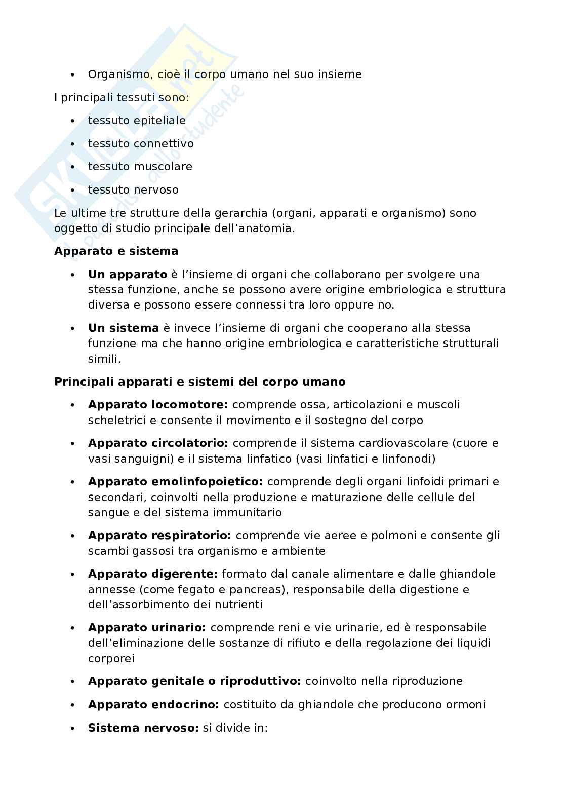 Anatomia umana - Apparato locomotore Pag. 2