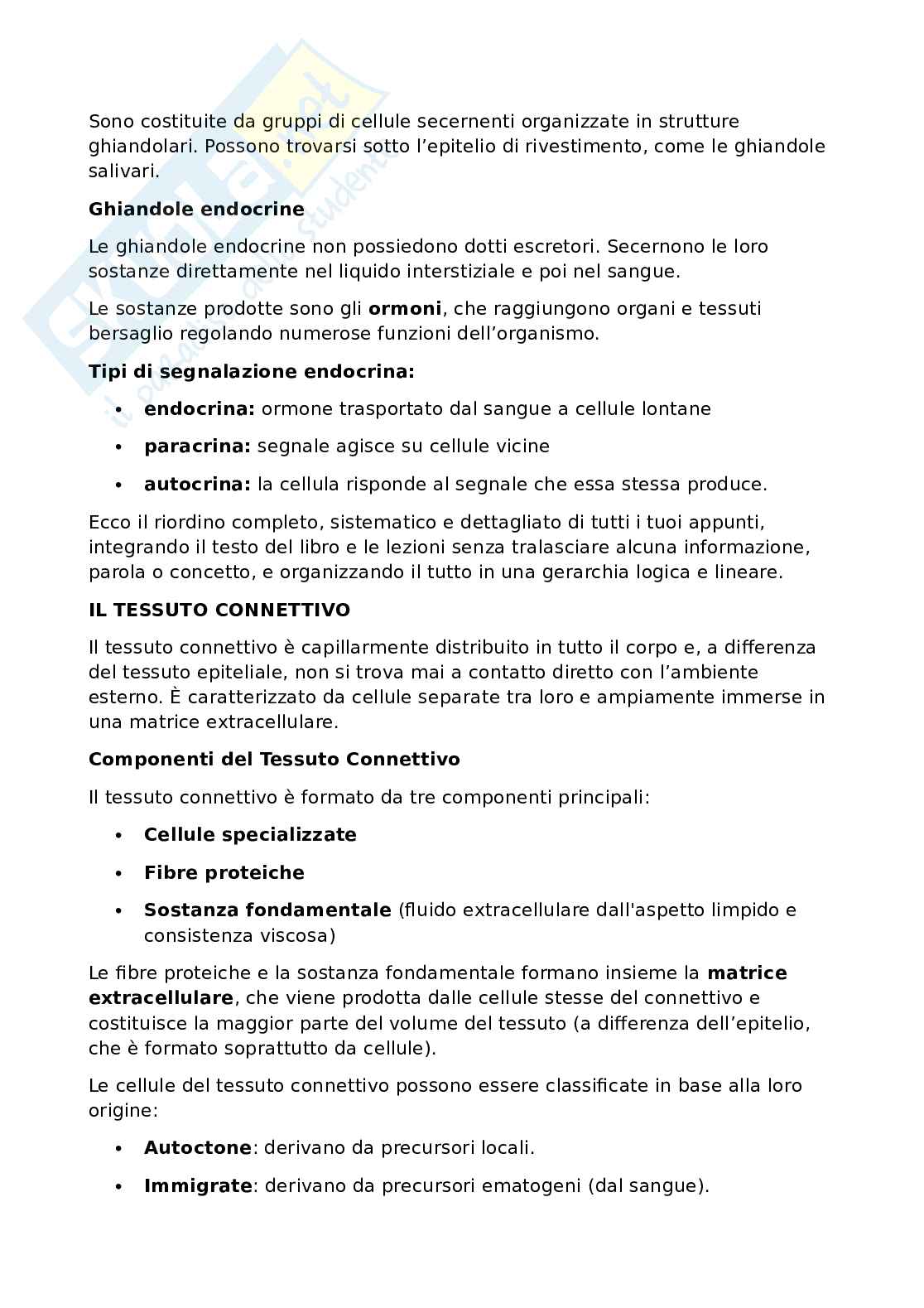 Anatomia umana - Apparato locomotore Pag. 21
