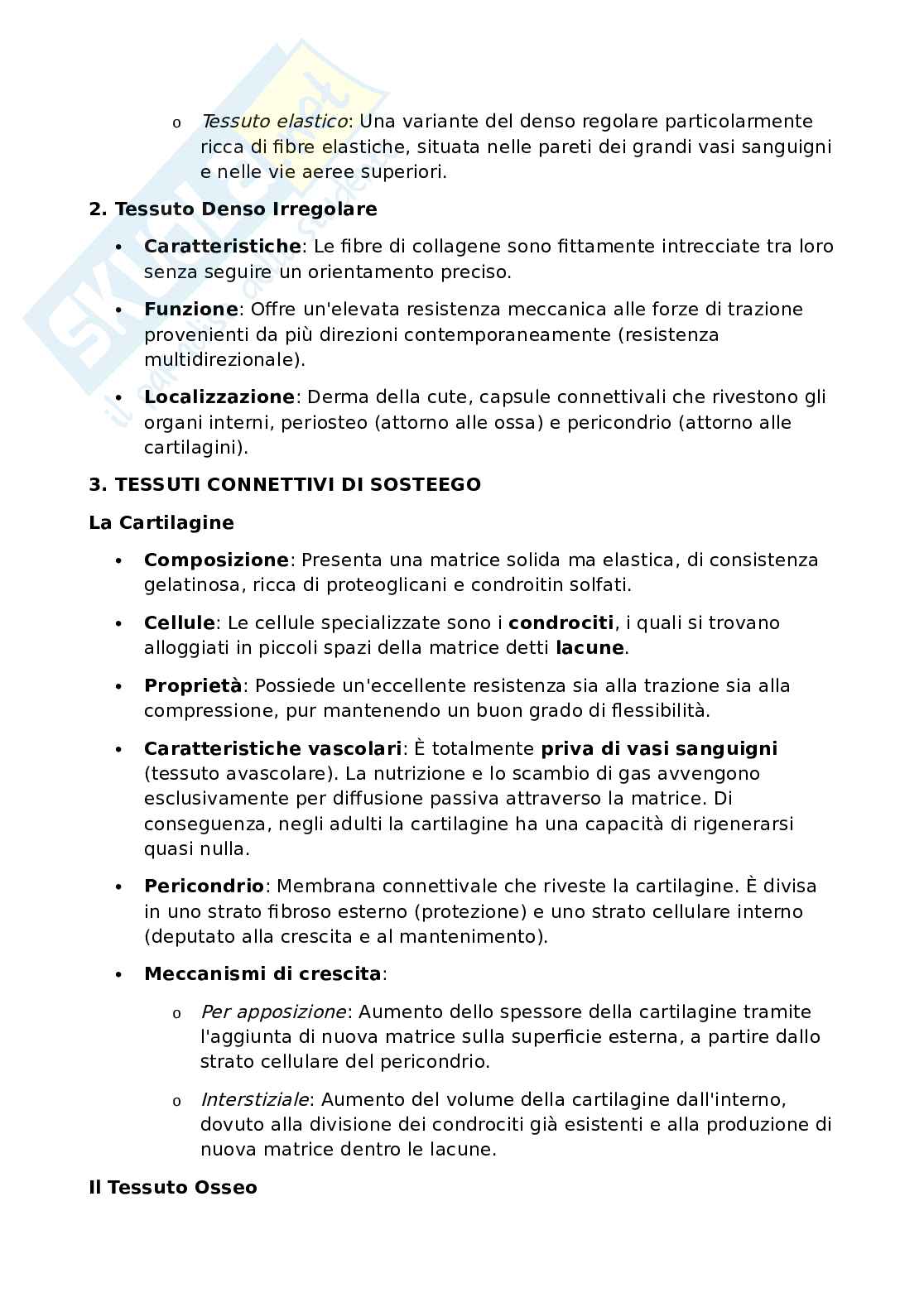 Anatomia umana - Apparato locomotore Pag. 26