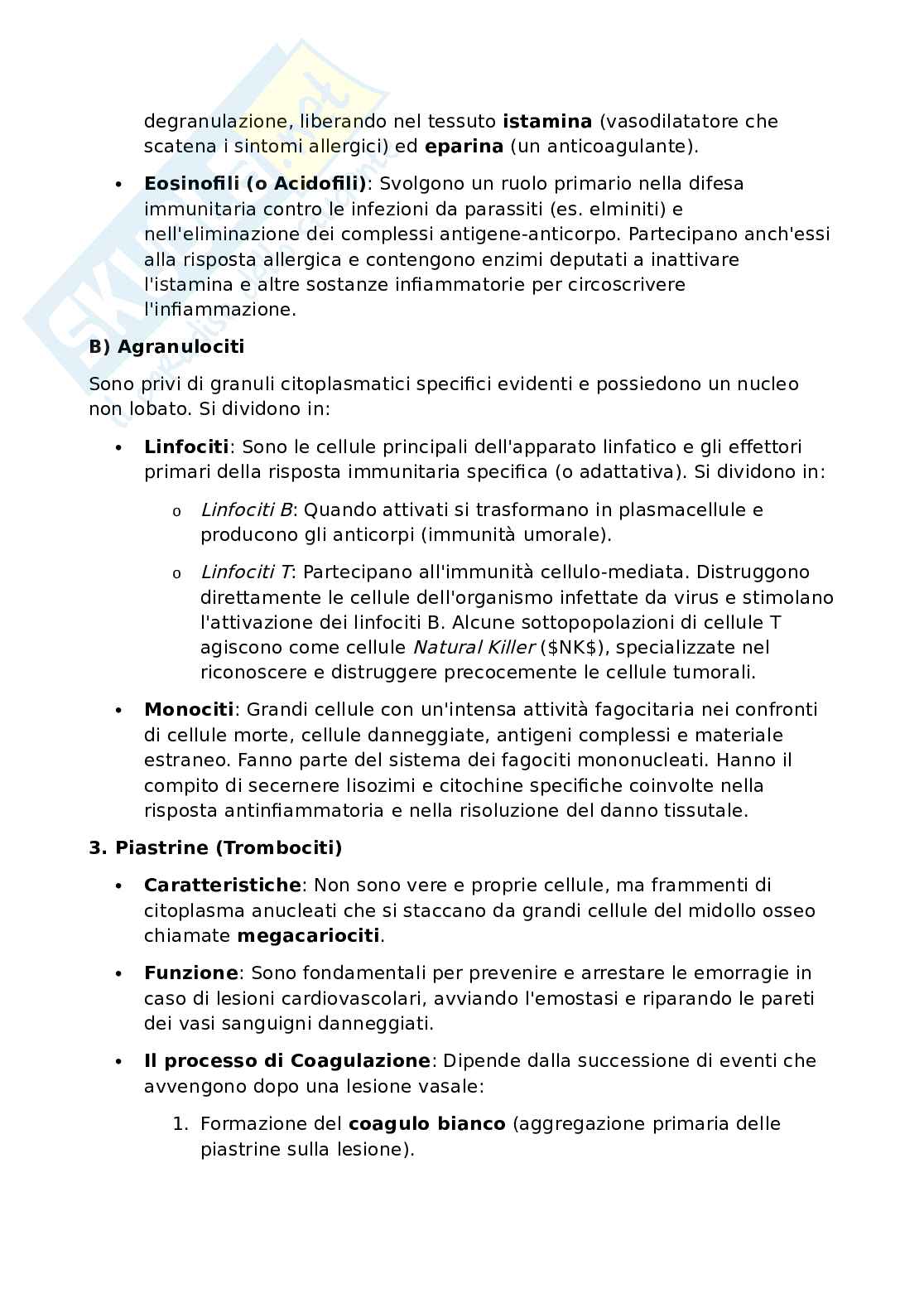 Anatomia umana - Apparato locomotore Pag. 31