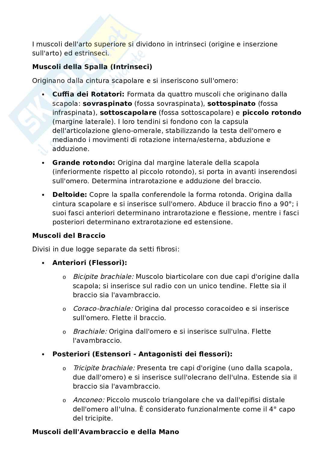 Anatomia umana - Apparato locomotore Pag. 61