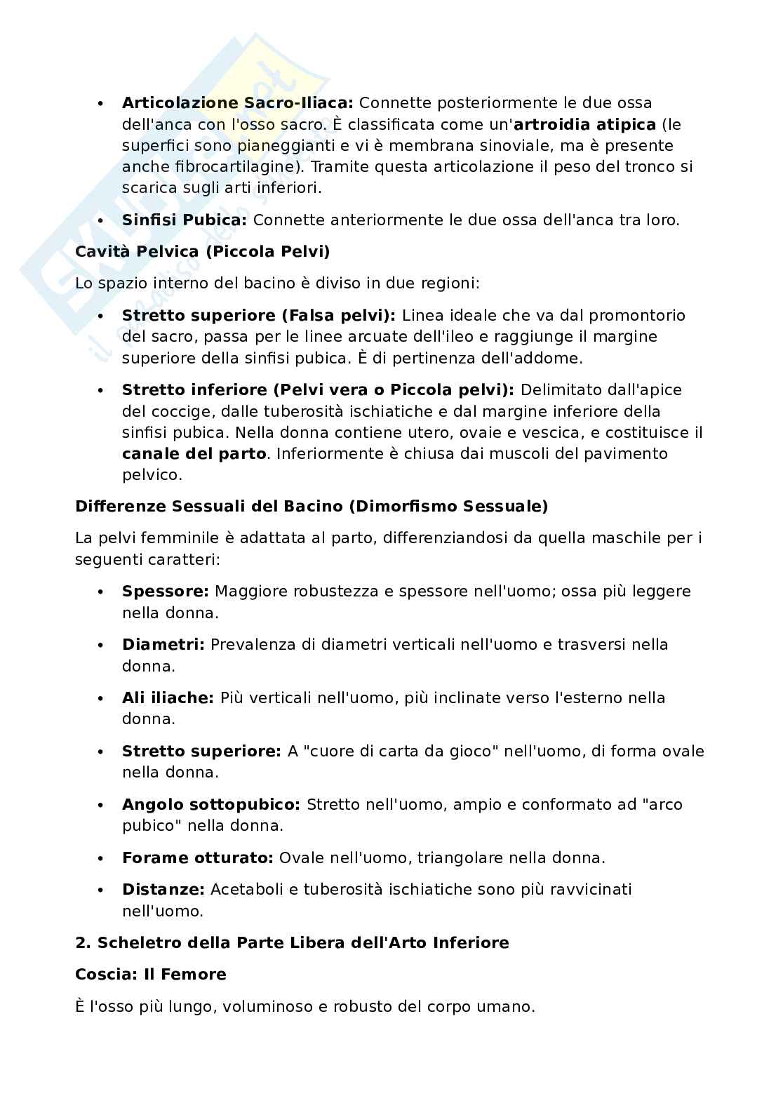 Anatomia umana - Apparato locomotore Pag. 66