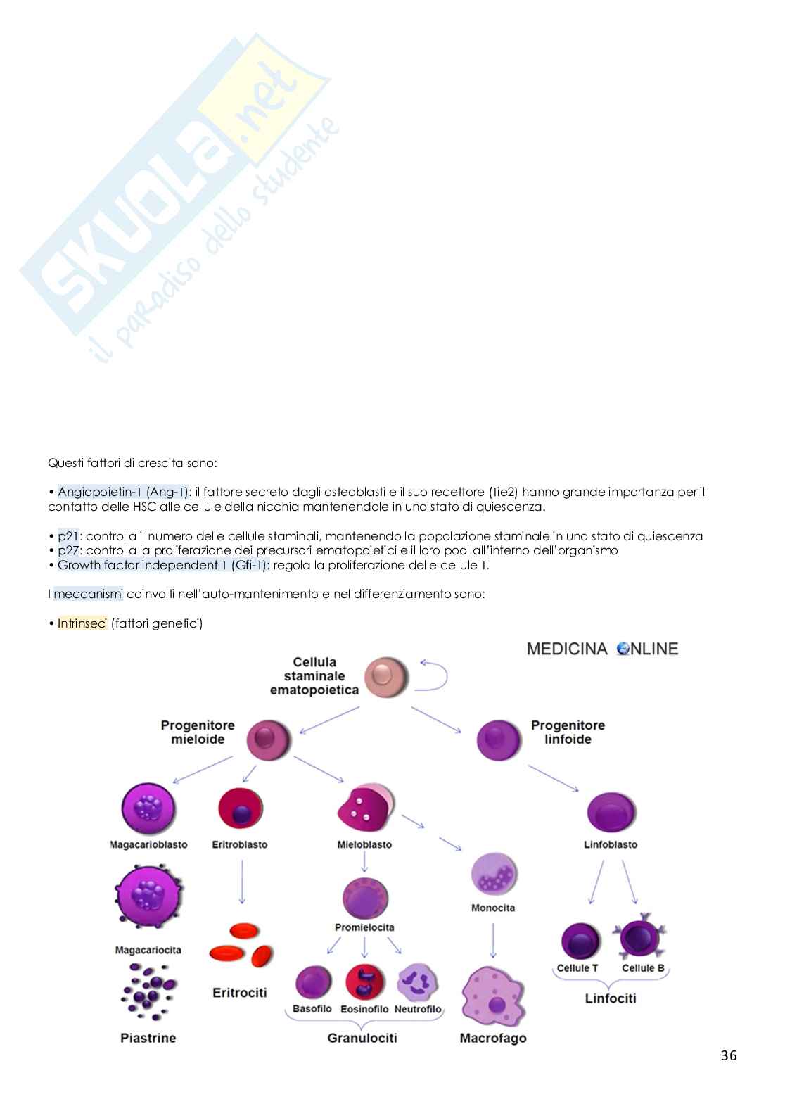 Medicina di laboratorio - Appunti Pag. 36