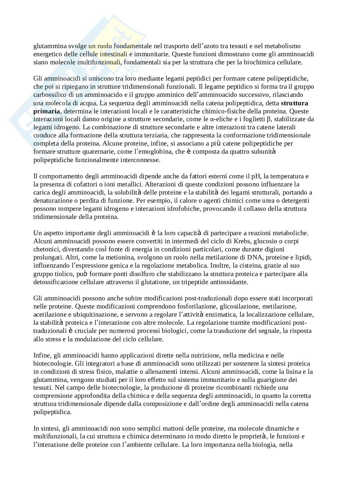 Amminoacidi e loro funzioni Pag. 2