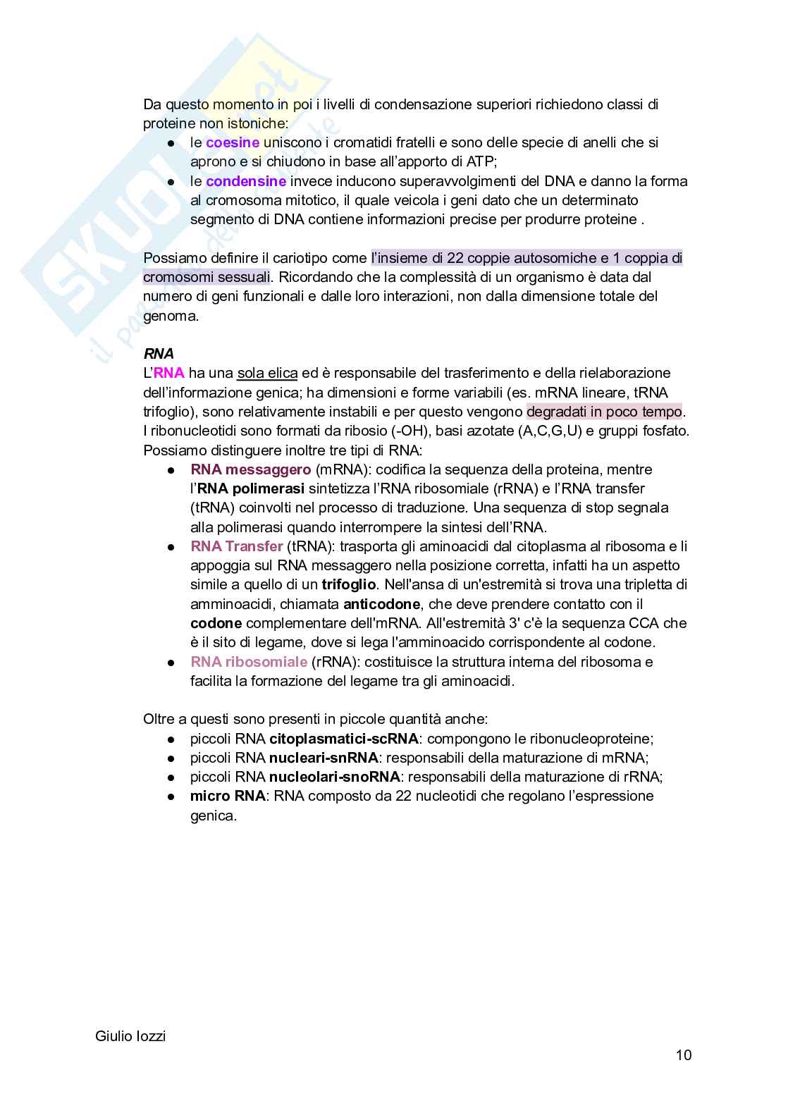 Biologia animale Pag. 11