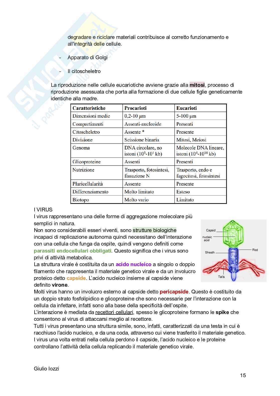 Biologia animale Pag. 16