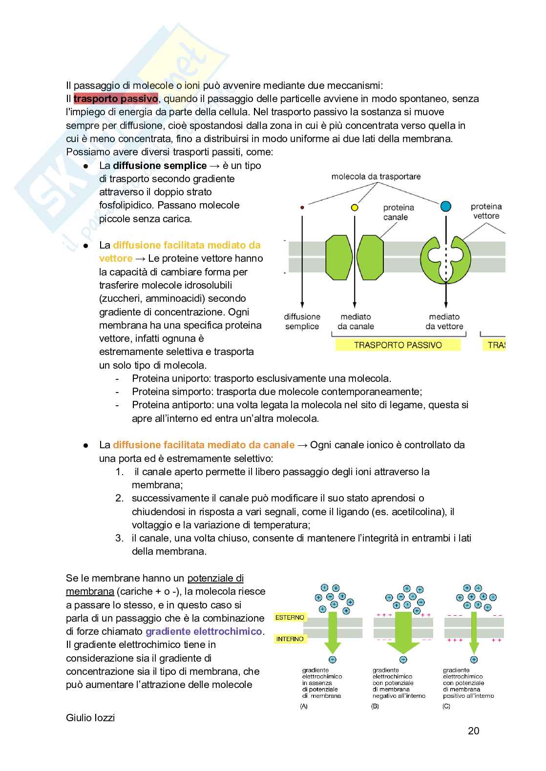 Biologia animale Pag. 21