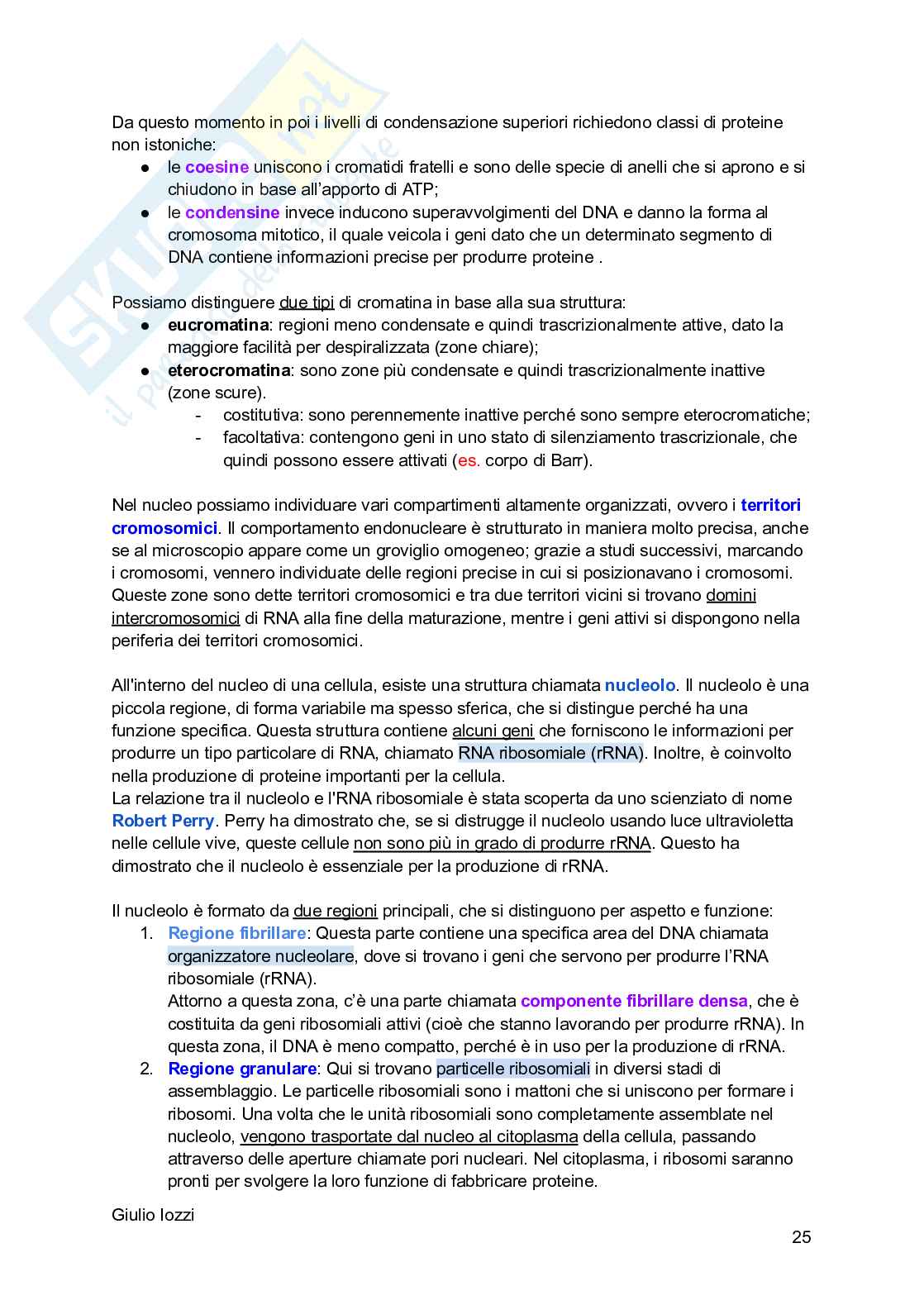 Biologia animale Pag. 26