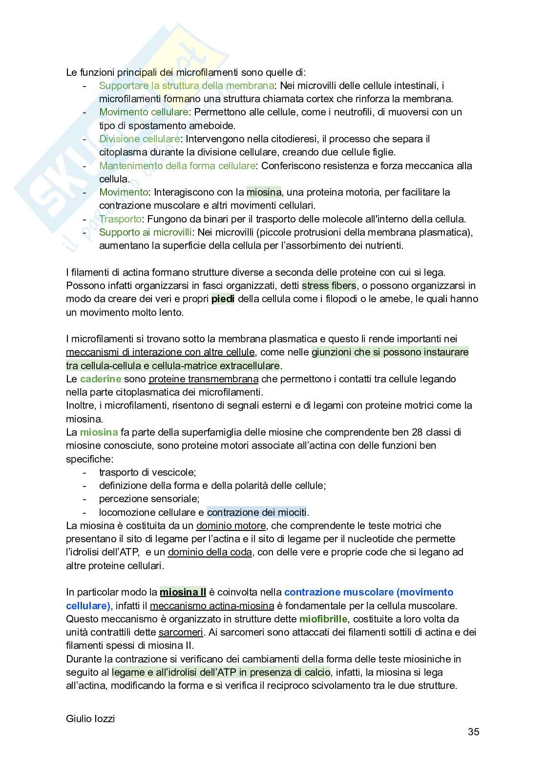 Biologia animale Pag. 36