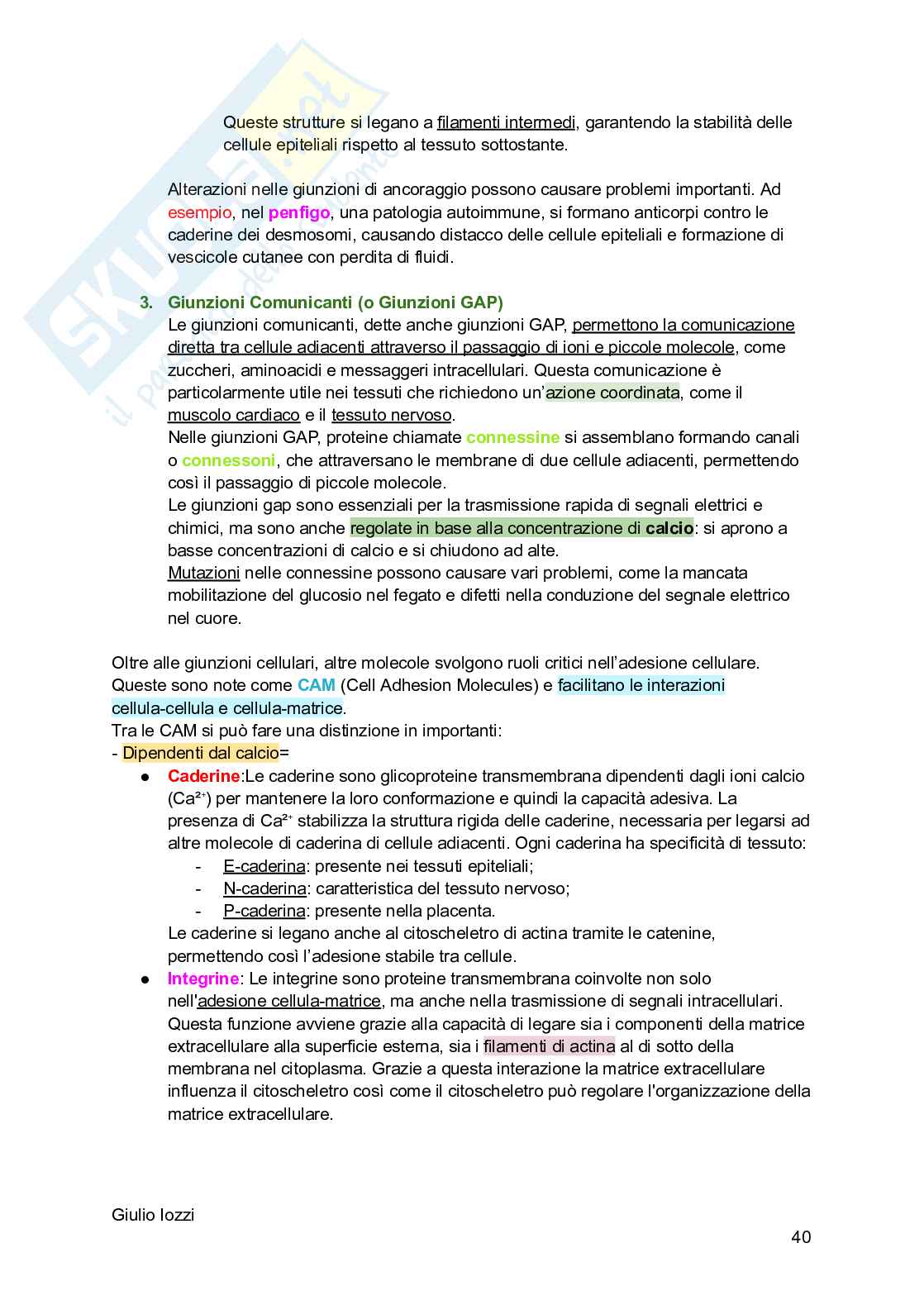 Biologia animale Pag. 41
