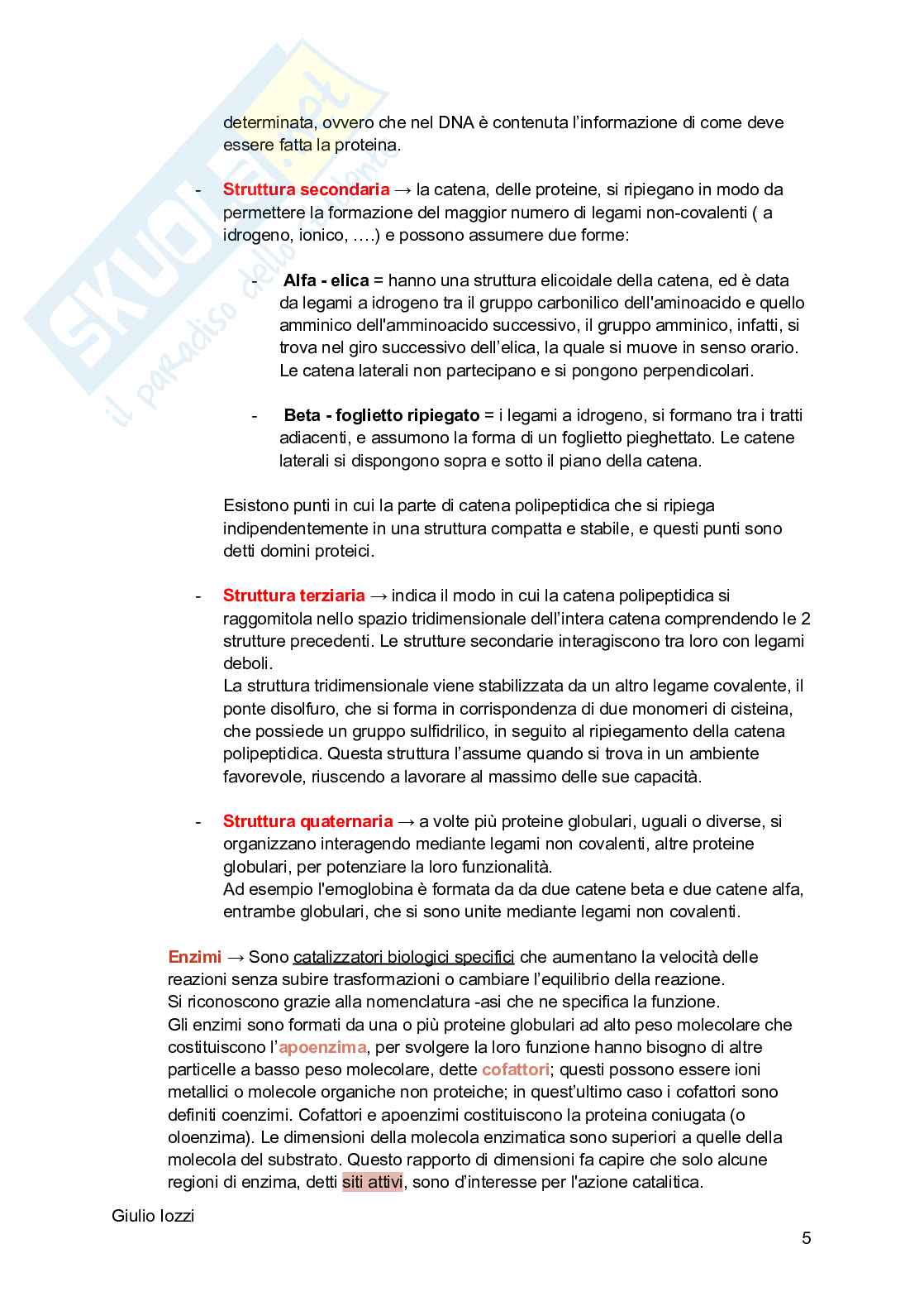 Biologia animale Pag. 6