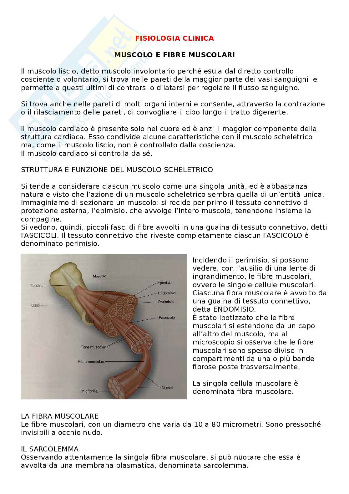 Fisiologia clinica Pag. 1