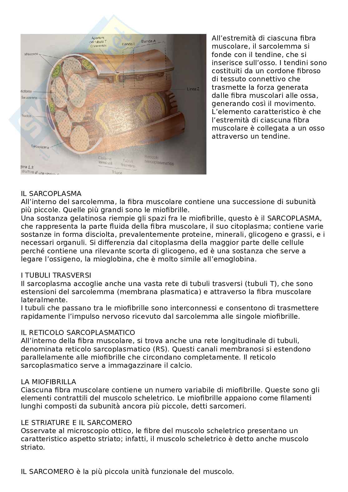 Fisiologia clinica Pag. 2
