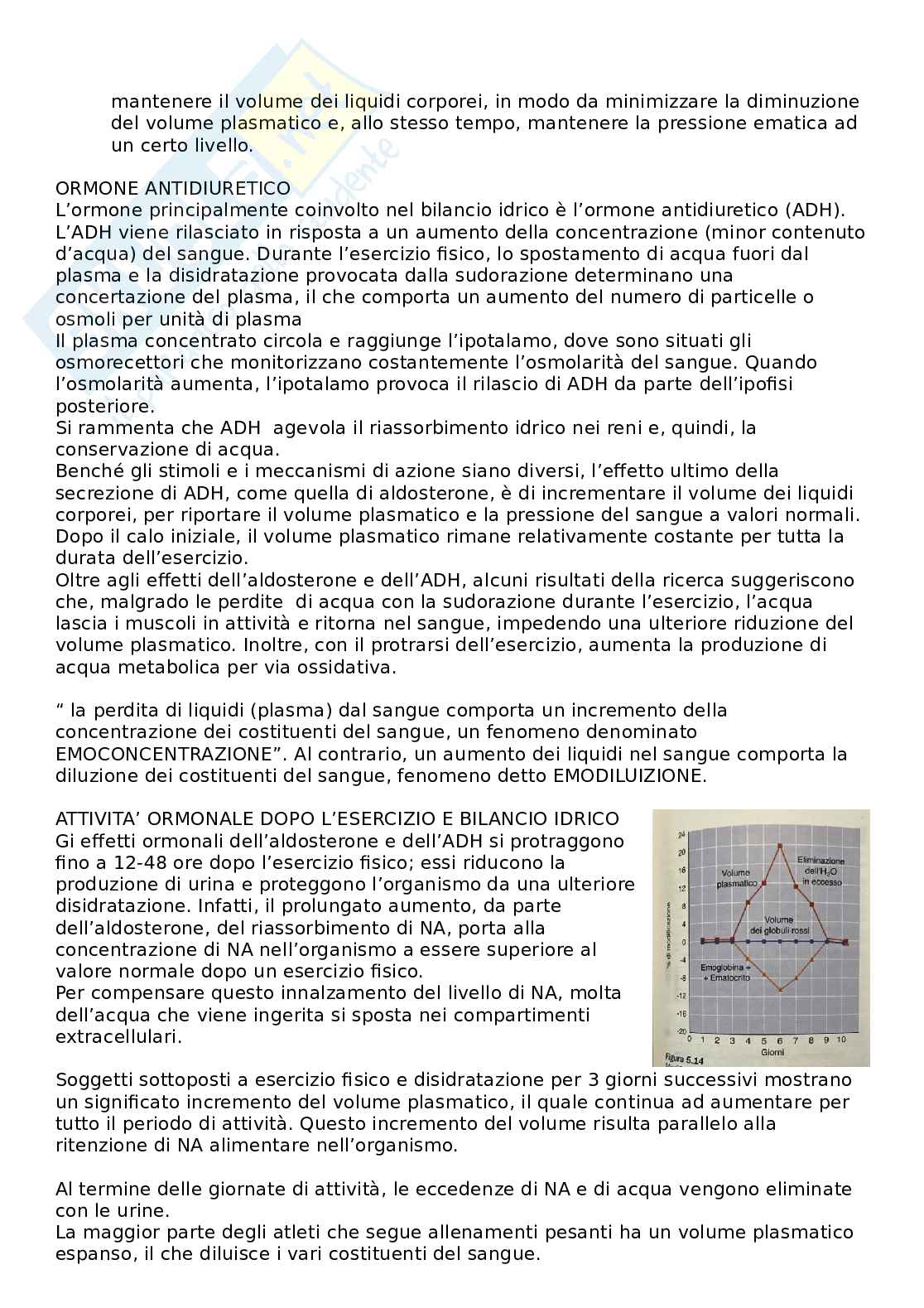 Fisiologia clinica Pag. 31