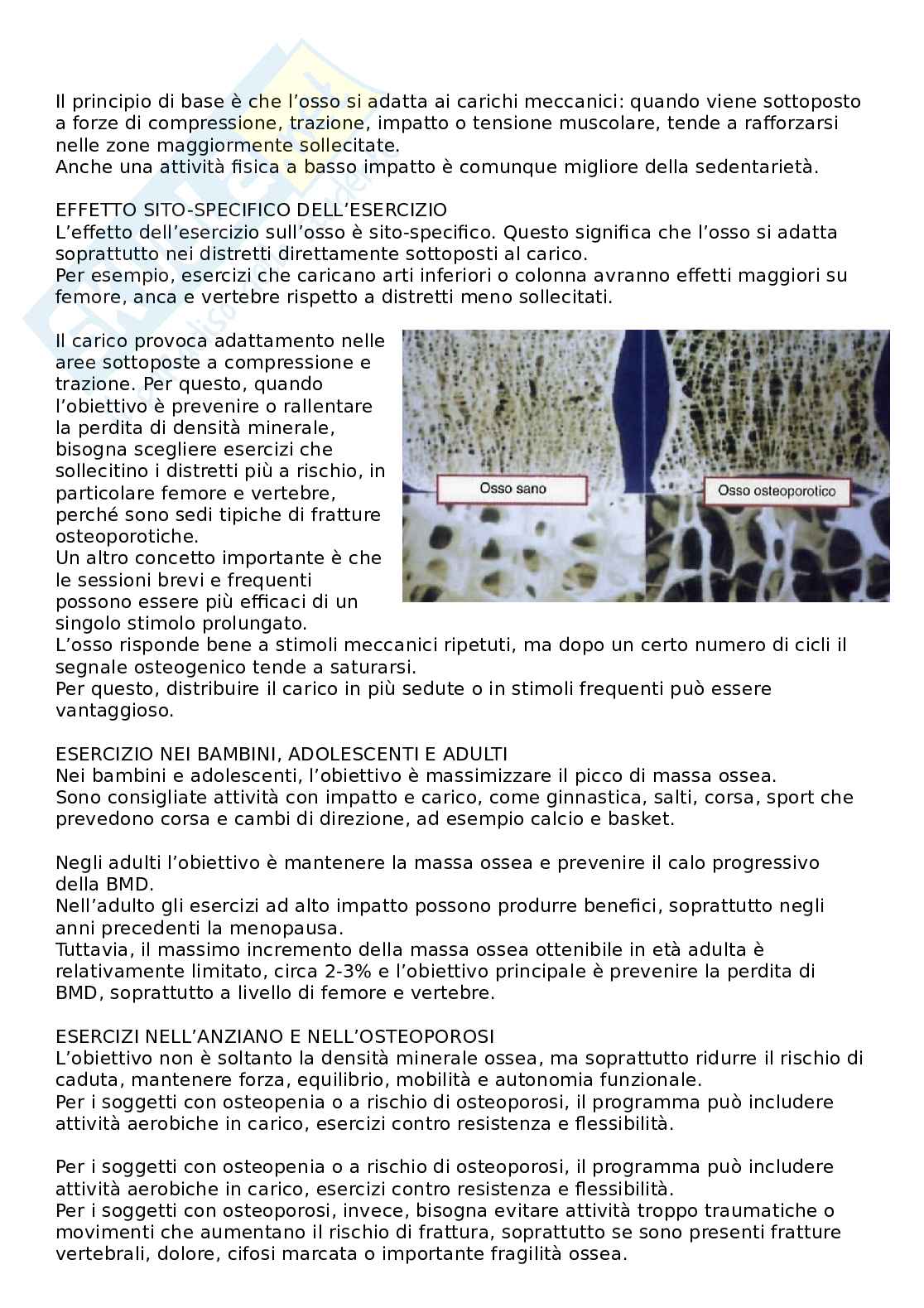 Fisiologia clinica Pag. 86