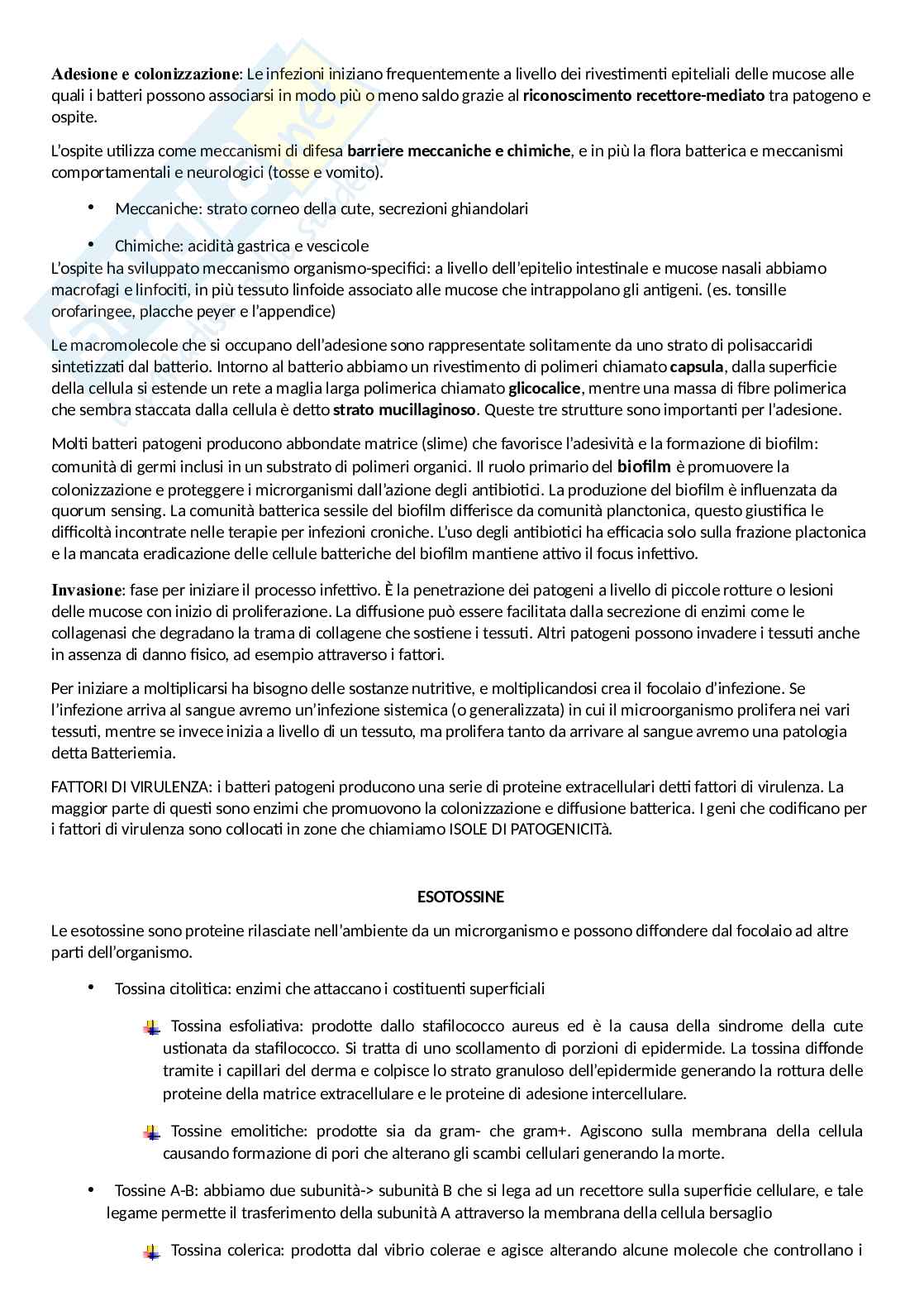 Riassunto esame Microbiologia , Prof. Beninati Concetta, libro consigliato Microbiologia medica, Antonelli Pag. 11