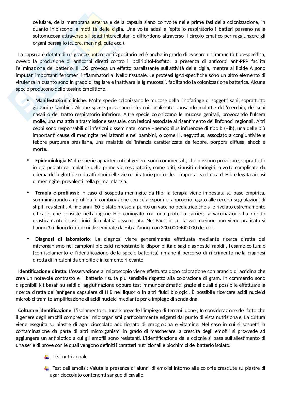 Riassunto esame Microbiologia , Prof. Beninati Concetta, libro consigliato Microbiologia medica, Antonelli Pag. 56