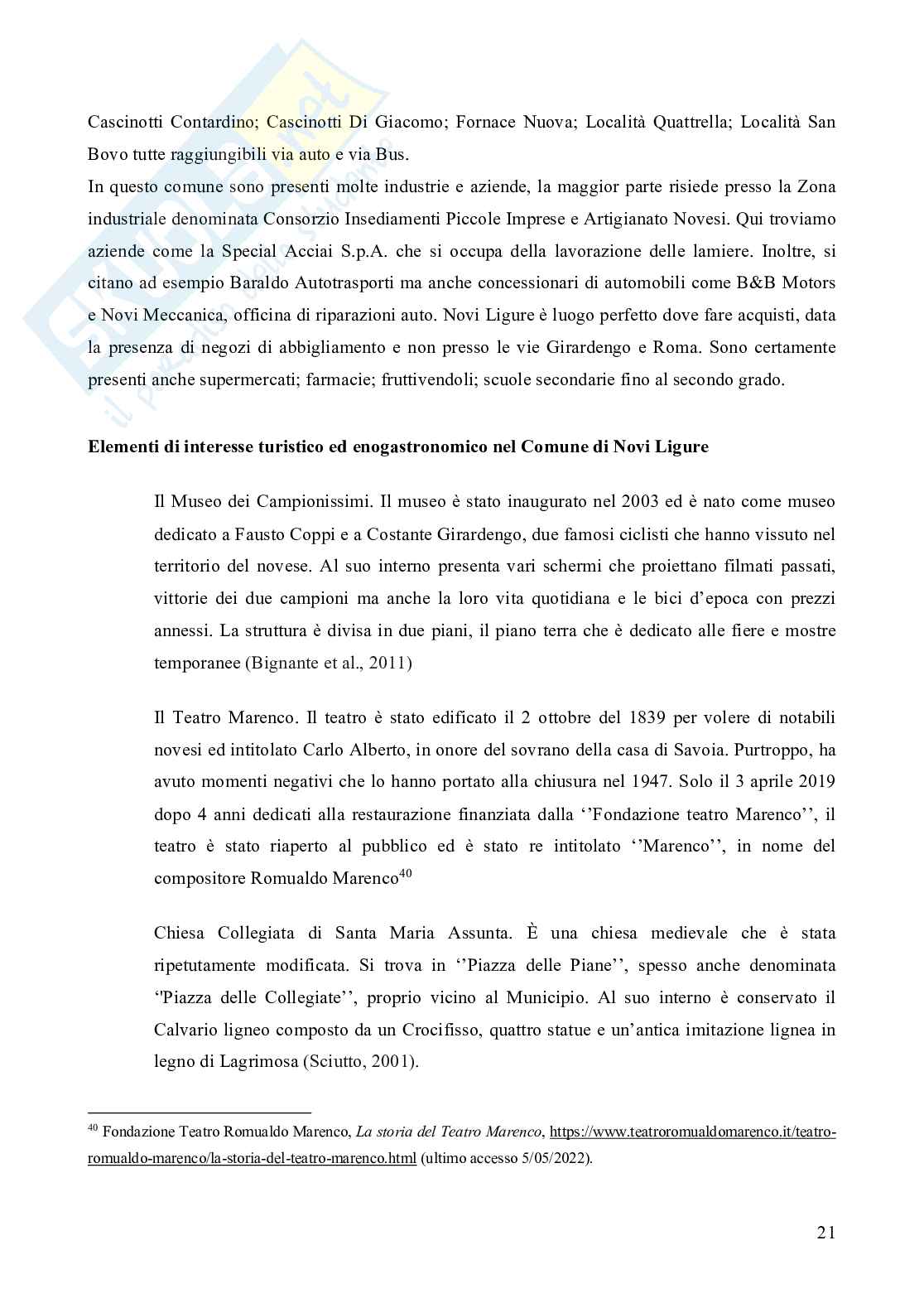Turismo e grandi centri commerciali: il caso del Serravalle Designer Outlet  Pag. 21