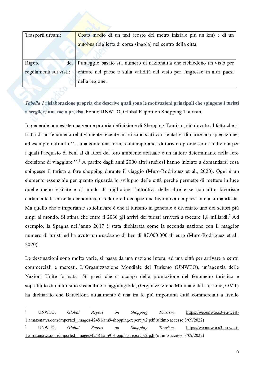 Turismo e grandi centri commerciali: il caso del Serravalle Designer Outlet  Pag. 6