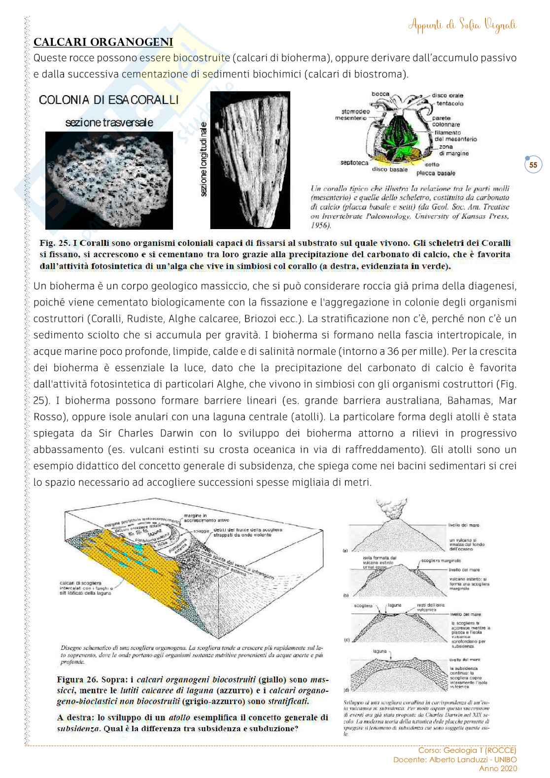 Geologia T - Rocce (Parte 2) Pag. 6