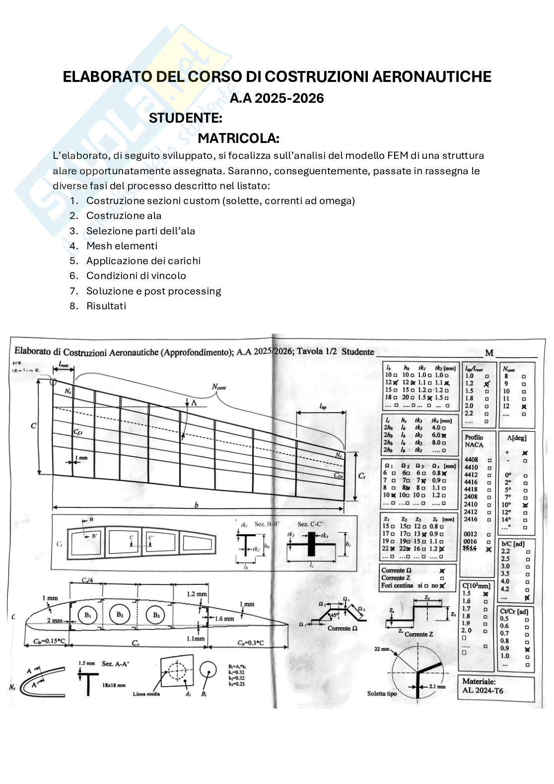 Elaborato del corso di Costruzioni aeronautiche, approfondimento  Pag. 1