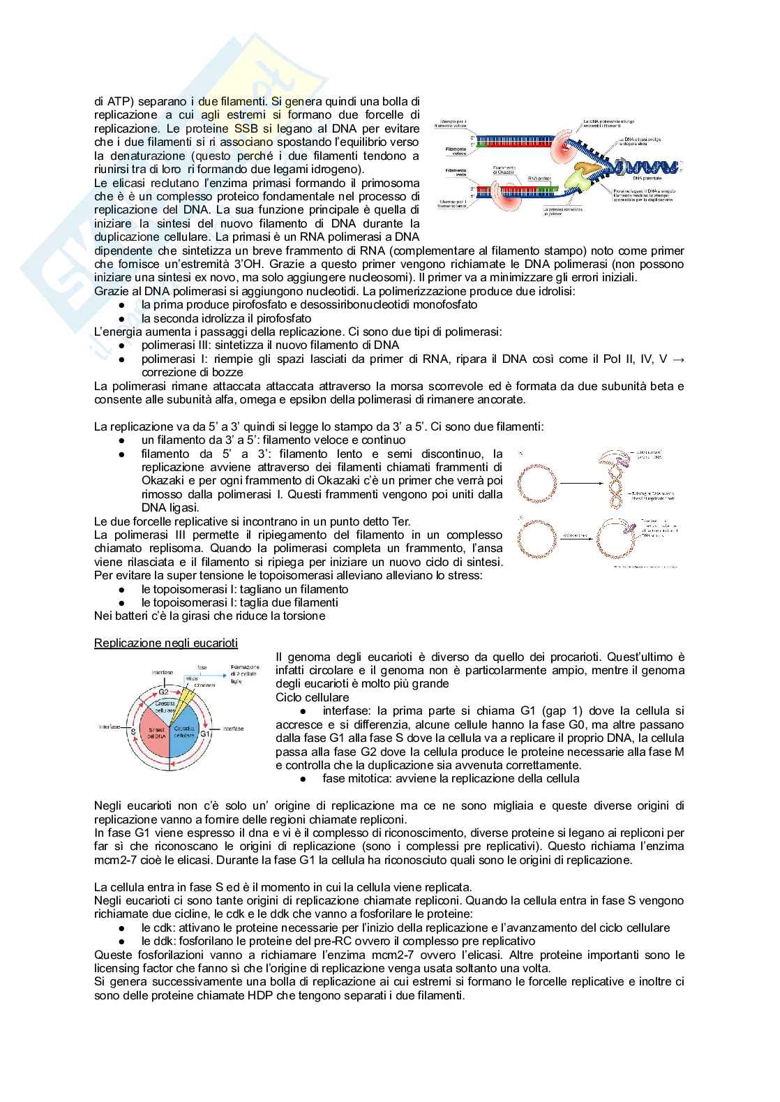 Unità 3 semestre filtro medicina Pag. 2