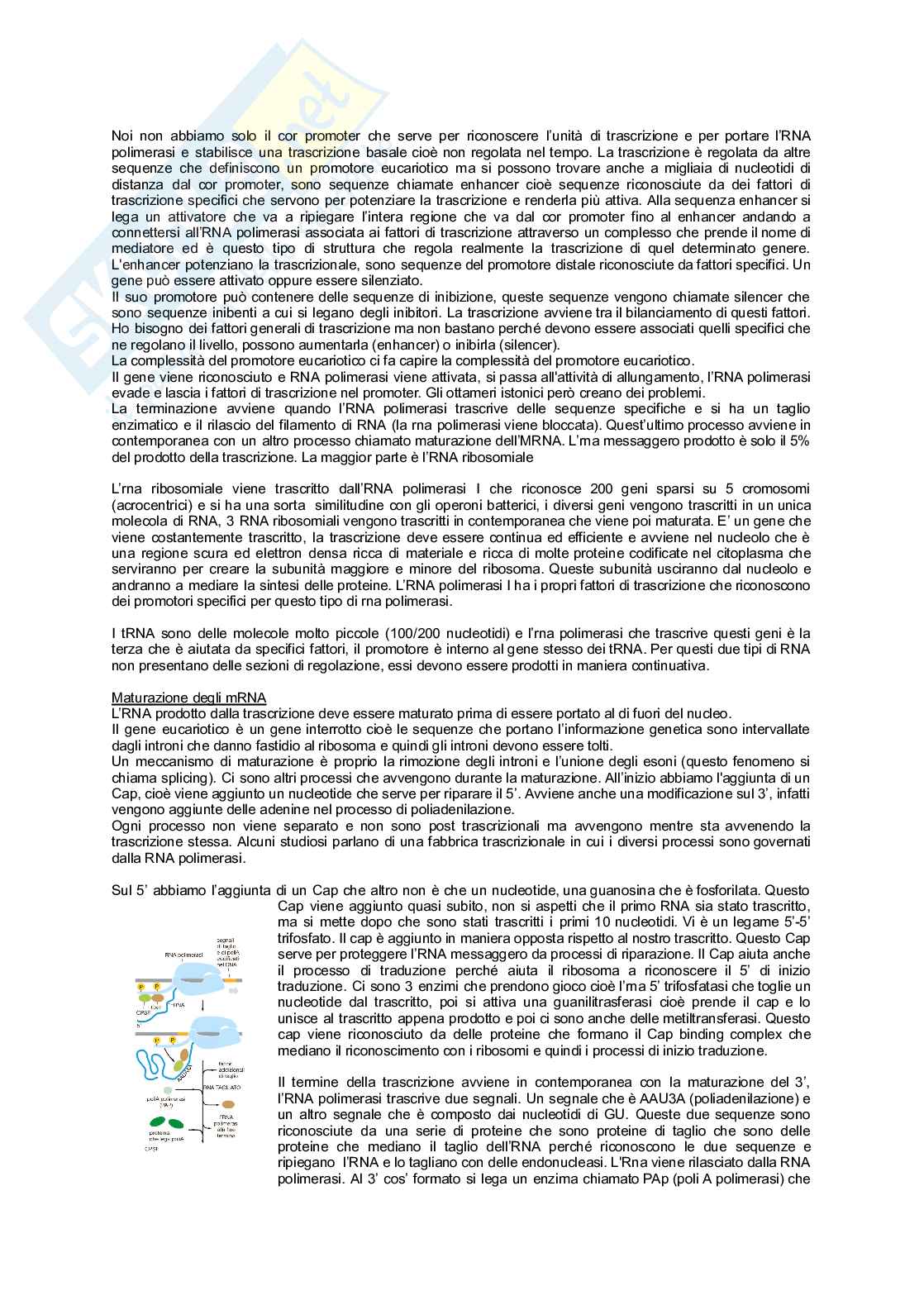 Unità 3 semestre filtro medicina Pag. 6