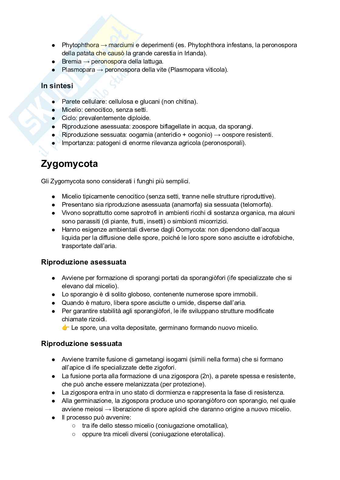 Riassunto esame Patologia vegetale, Prof. Marco Saracchi, libro consigliato Elementi di patologia vegetale, Belli Pag. 36