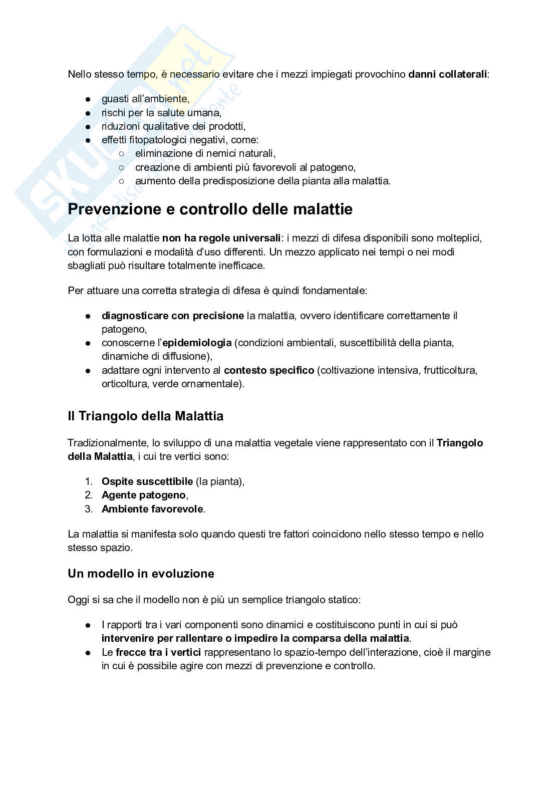 Riassunto esame Patologia vegetale, Prof. Marco Saracchi, libro consigliato Elementi di patologia vegetale, Belli Pag. 81
