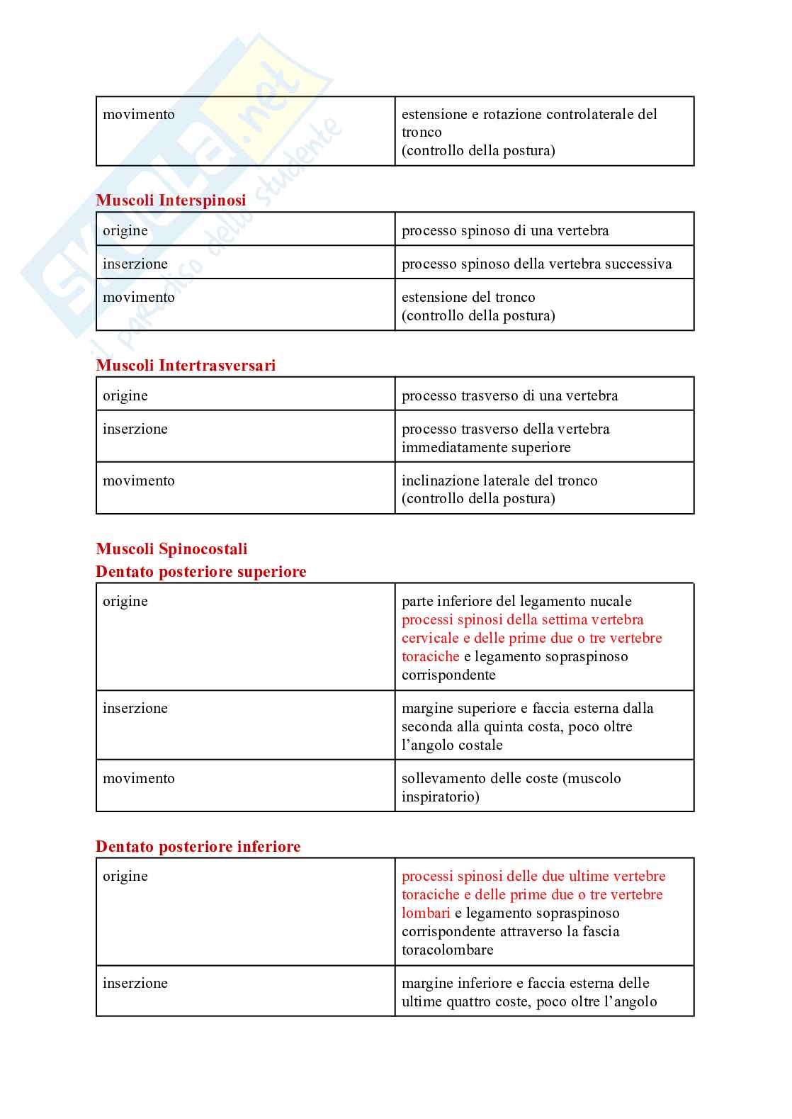 Tabella sui muscoli Pag. 11