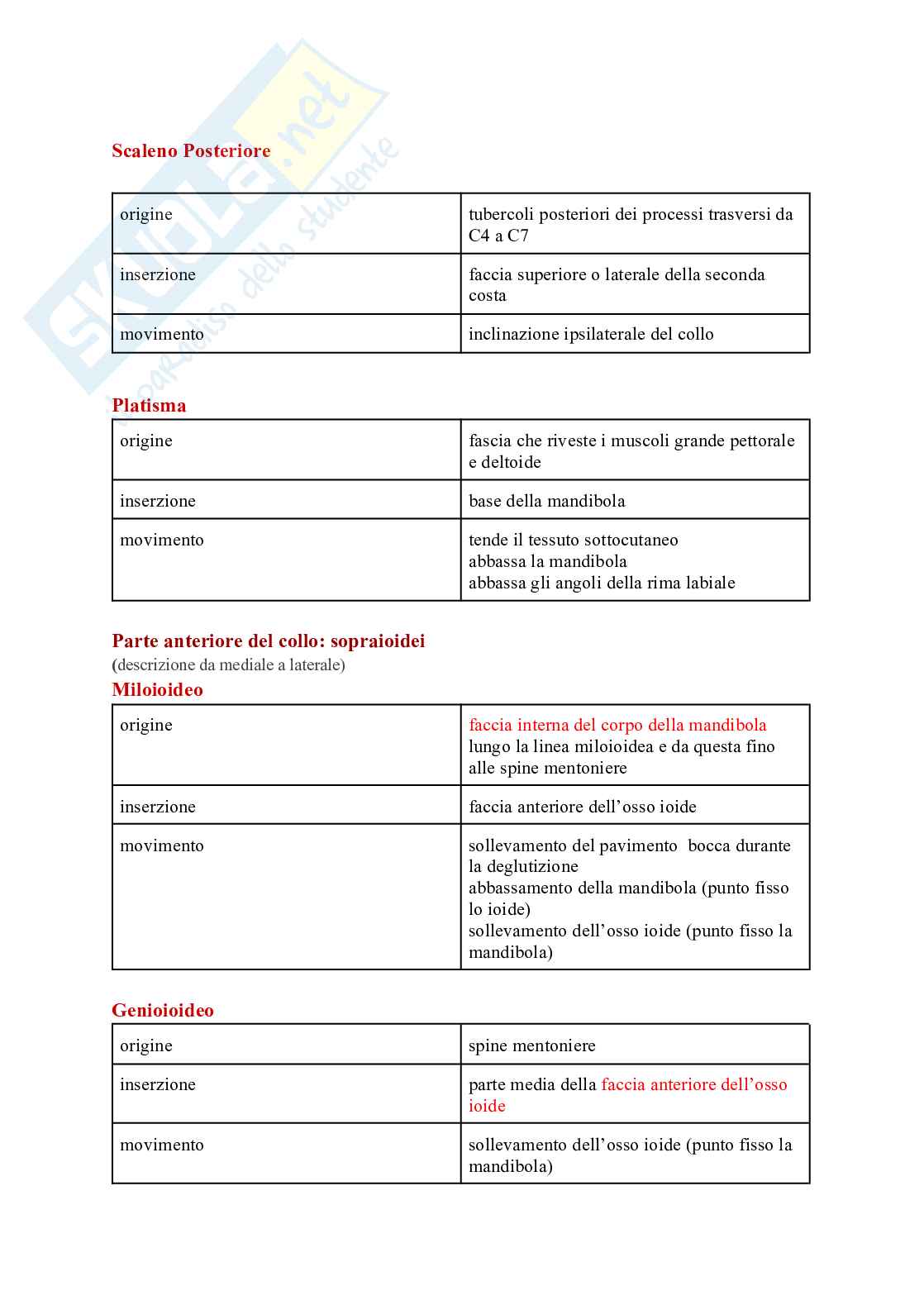 Tabella sui muscoli Pag. 2