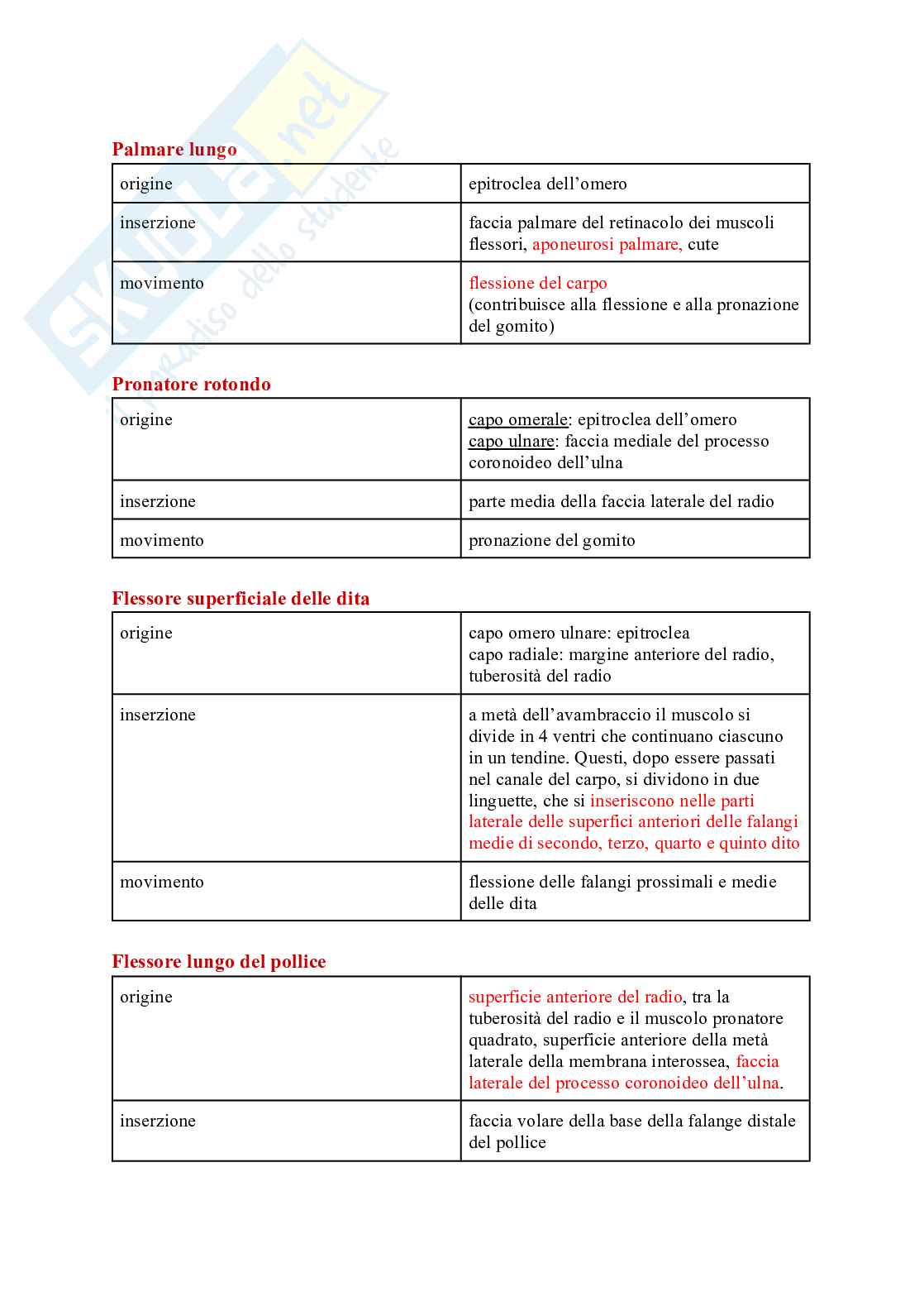 Tabella sui muscoli Pag. 21