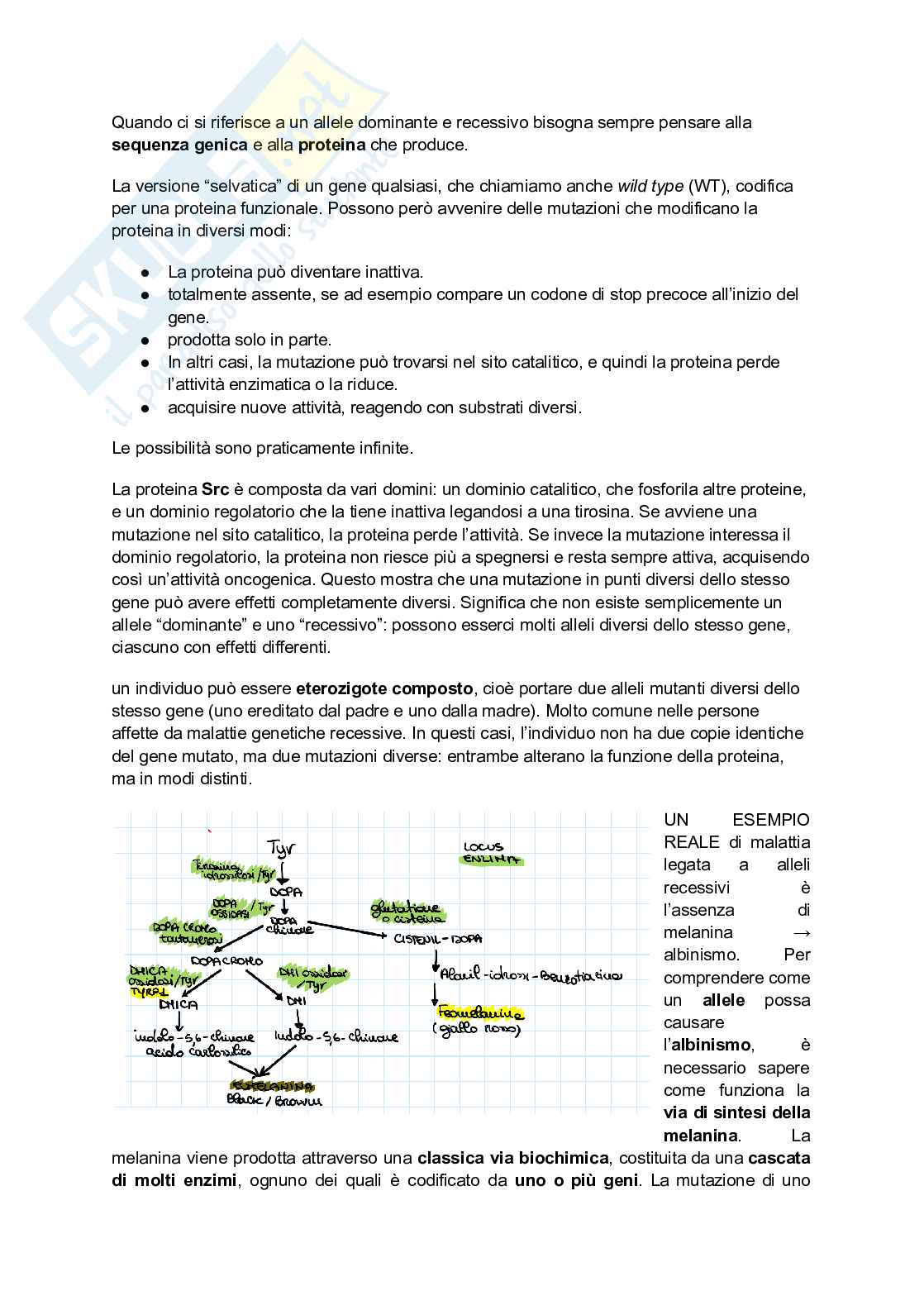 Alterazioni genetiche Pag. 2