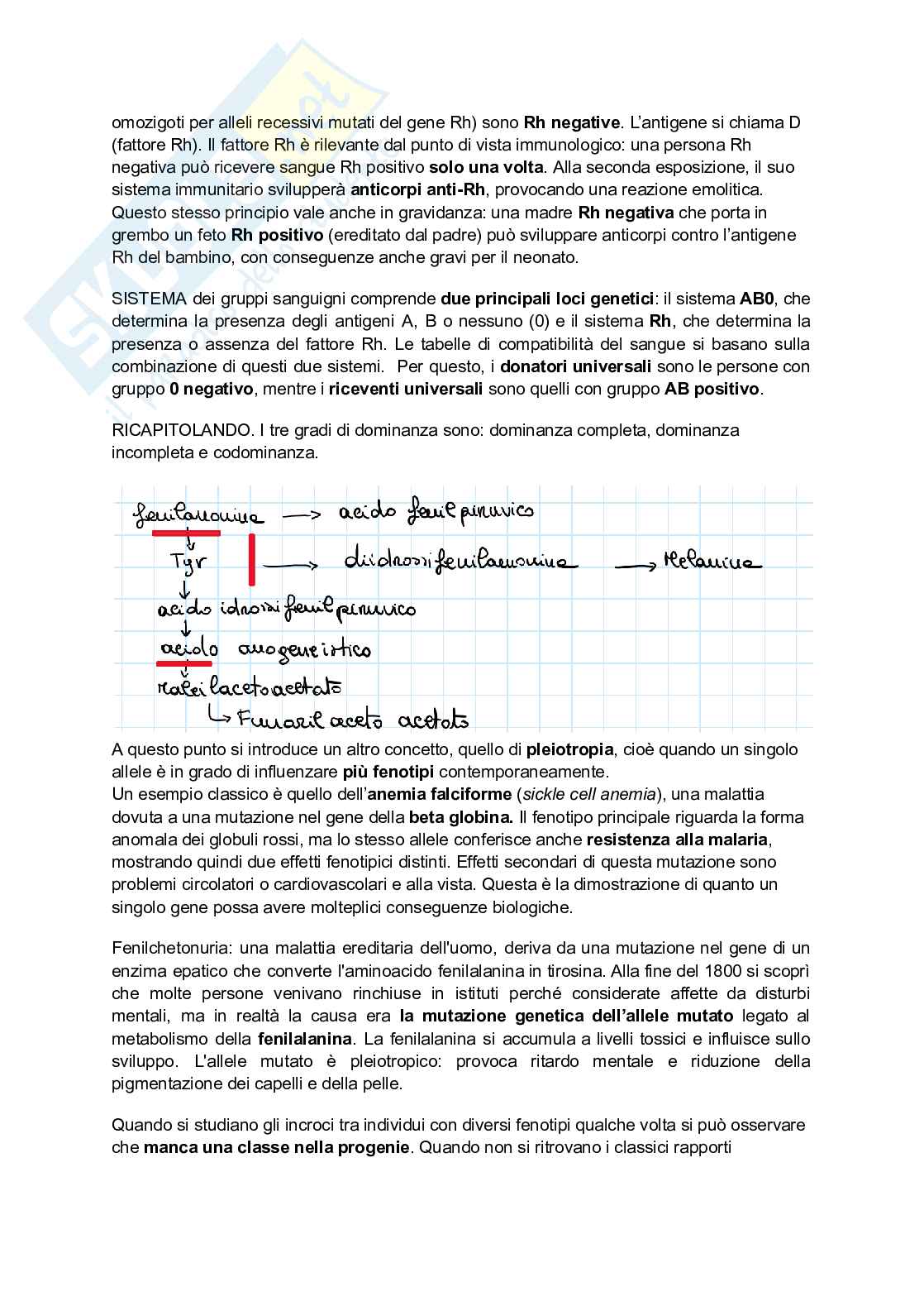 Alterazioni genetiche Pag. 6