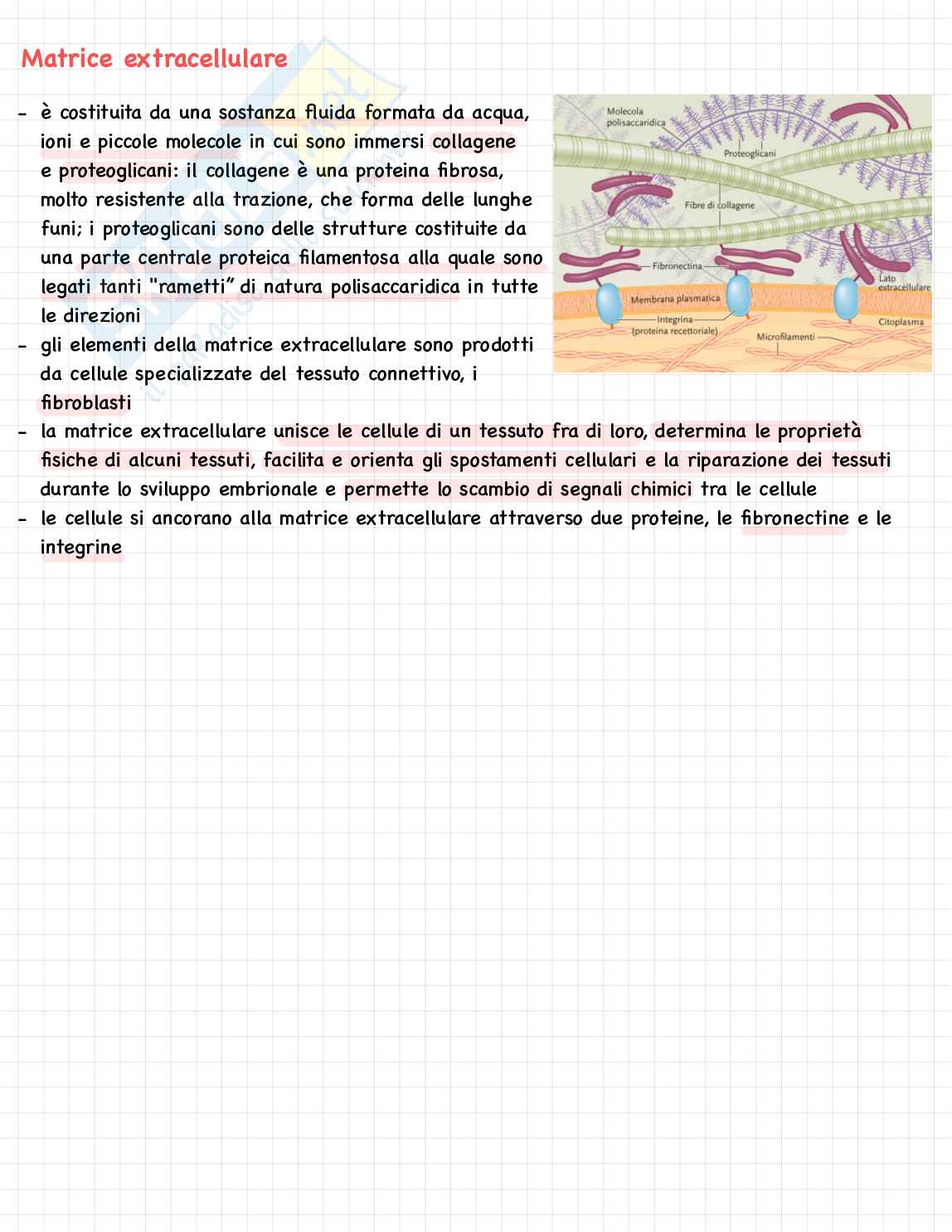 Biologia molecolare Pag. 11