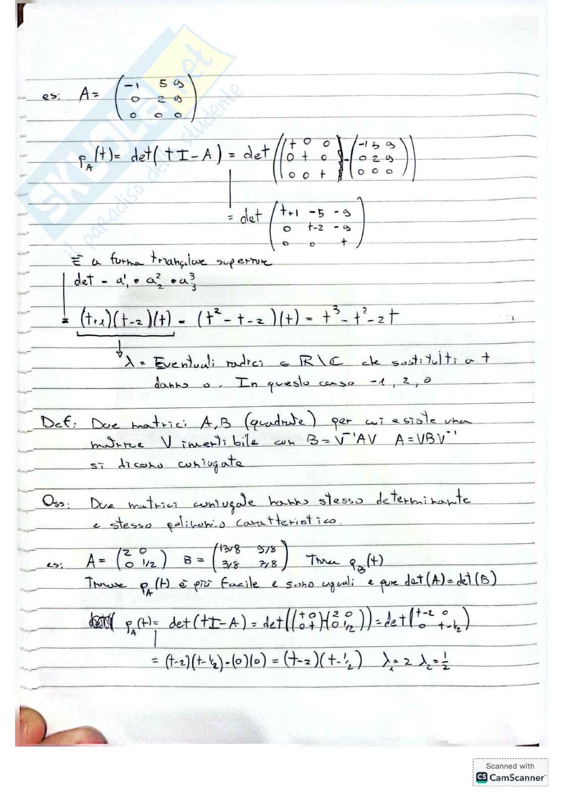 Algebra Lineare per matematica e ingegneria Pag. 46