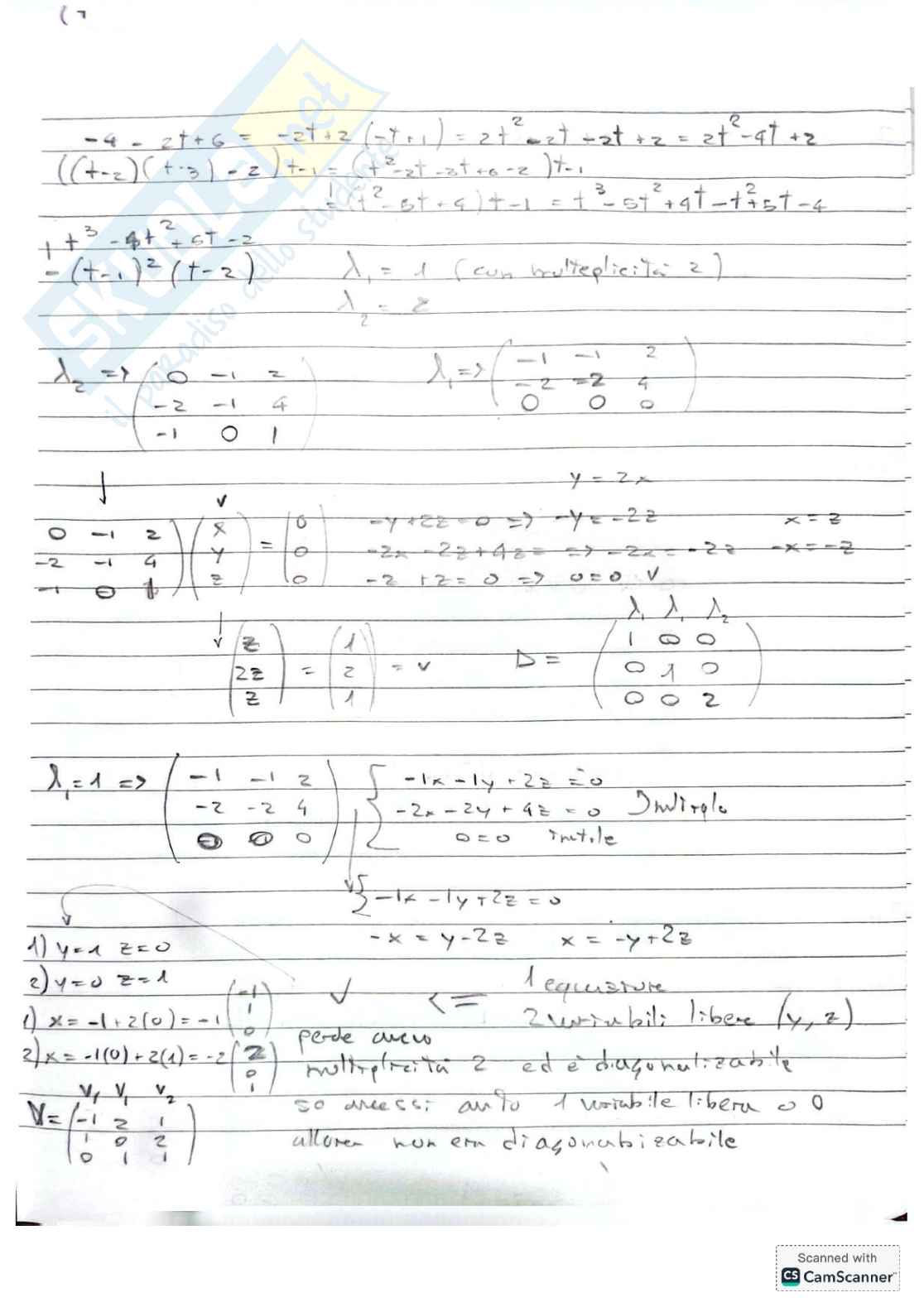 Algebra Lineare per matematica e ingegneria Pag. 51