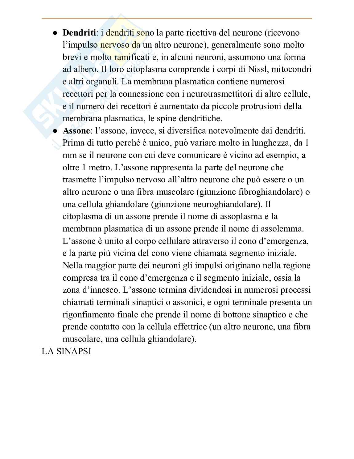 Seconda parte appunti di Anatomia Pag. 6