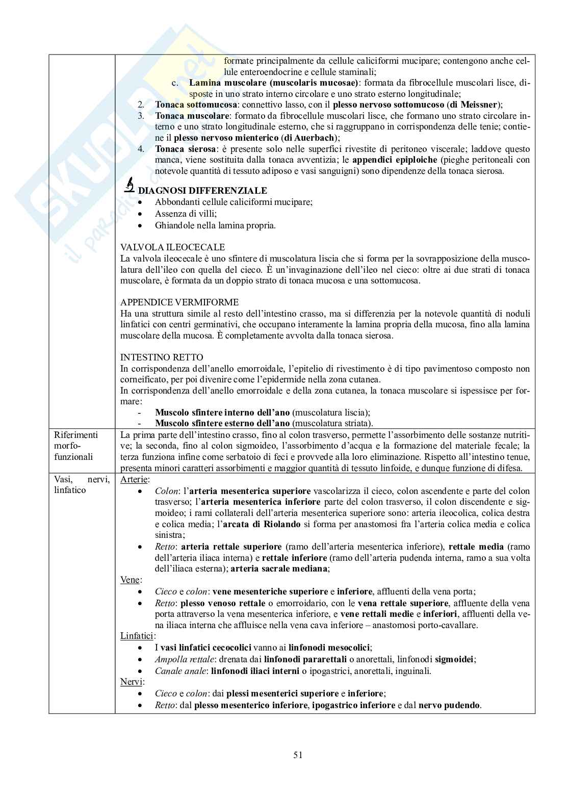 Appunti di Anatomia - Splancnologia Pag. 51