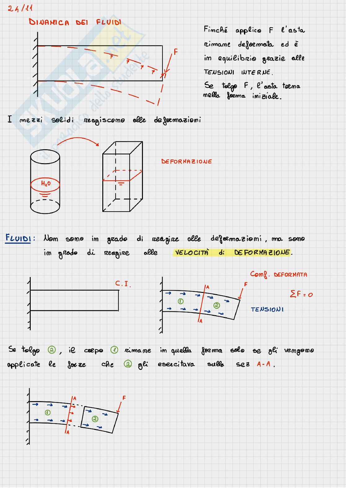 Conducibilità termica fluidi Pag. 1