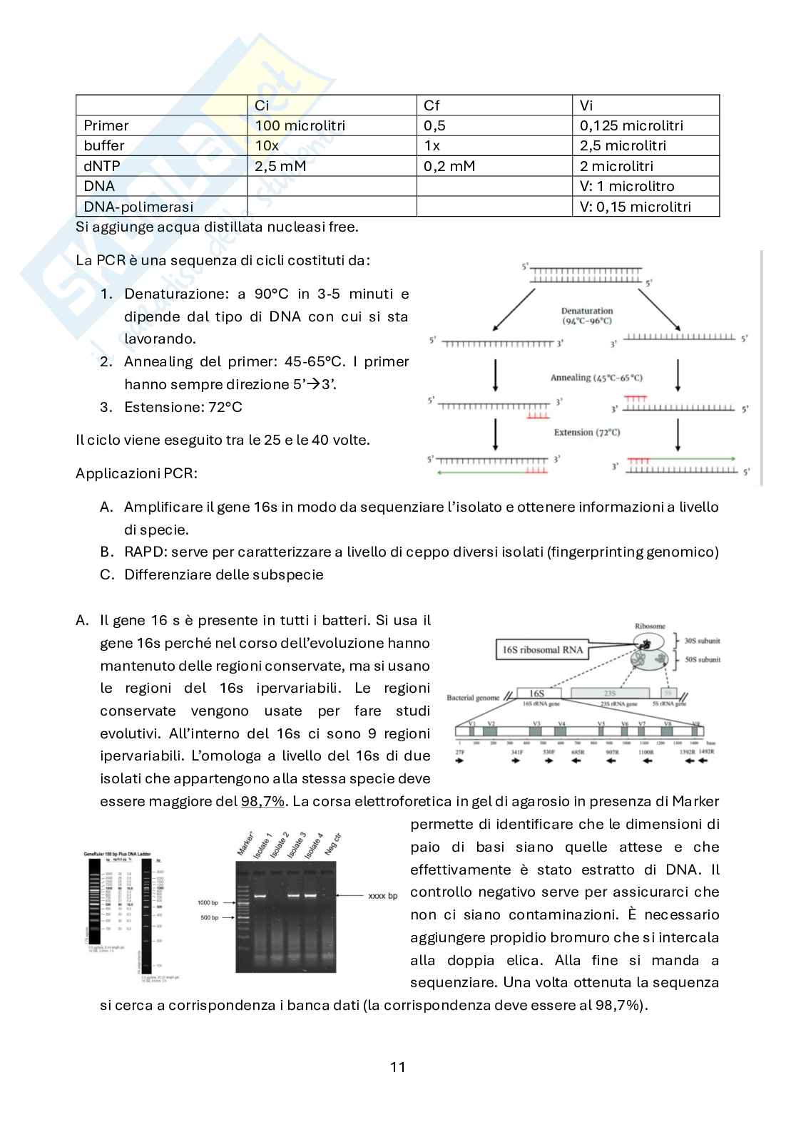 Appunti Biotecnologie genetico molecolari Pag. 11