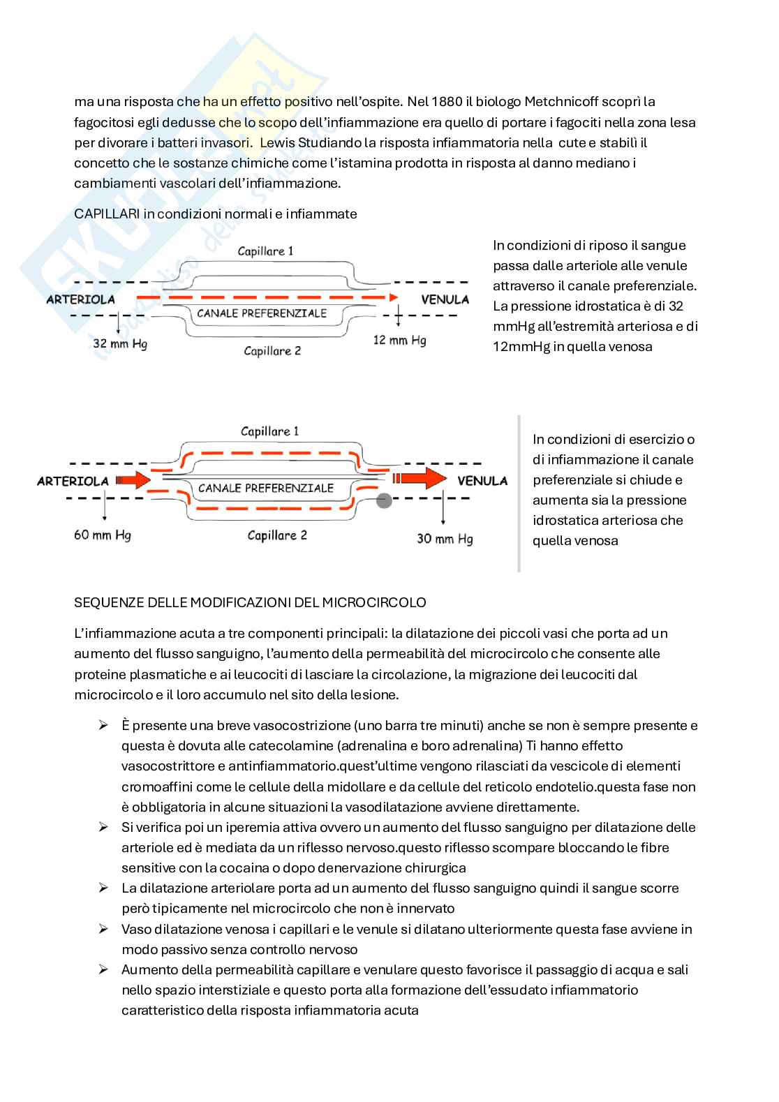 Patologia cellulare Pag. 2