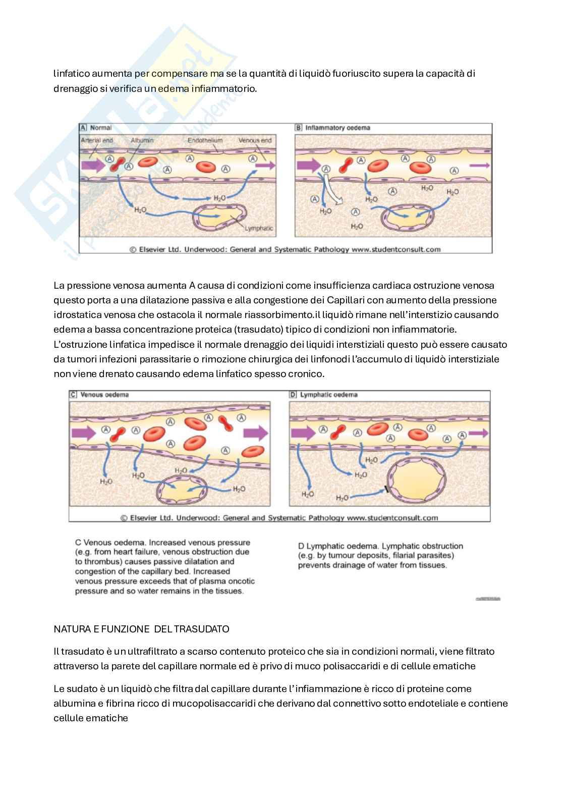 Patologia cellulare Pag. 6